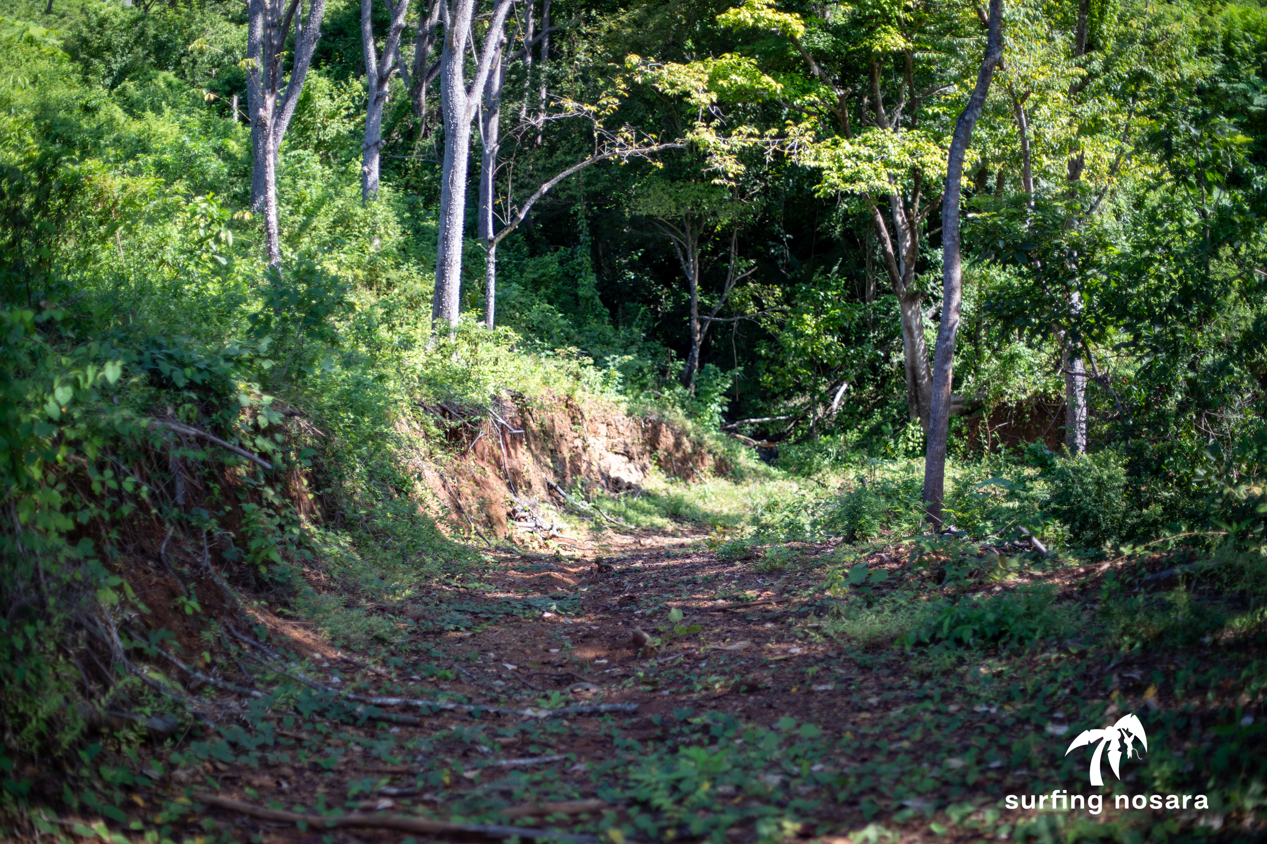 0 bed Land For Sale in Nosara, Guanacaste - thumb 6