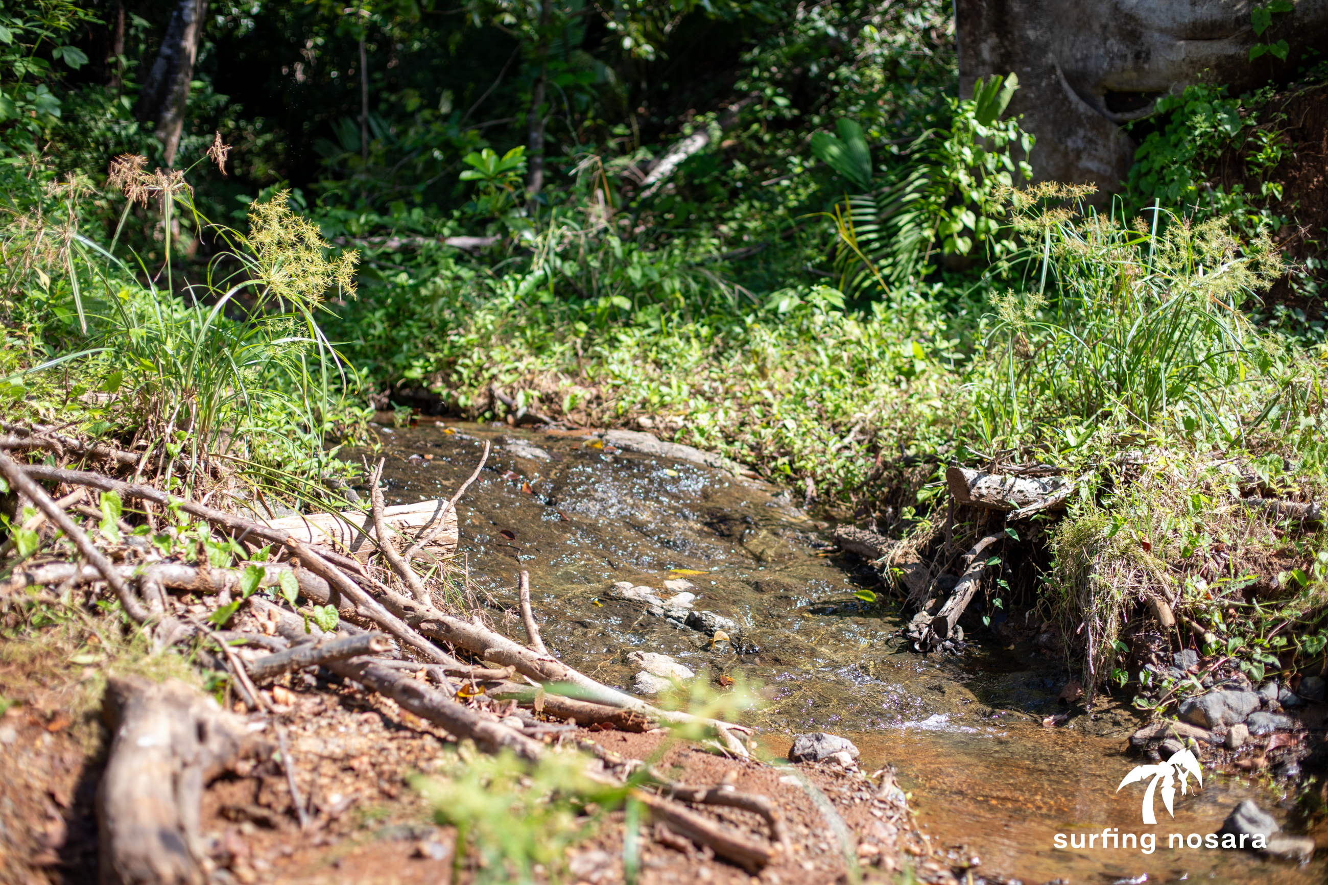 0 bed Land For Sale in Nosara, Guanacaste - thumb 8