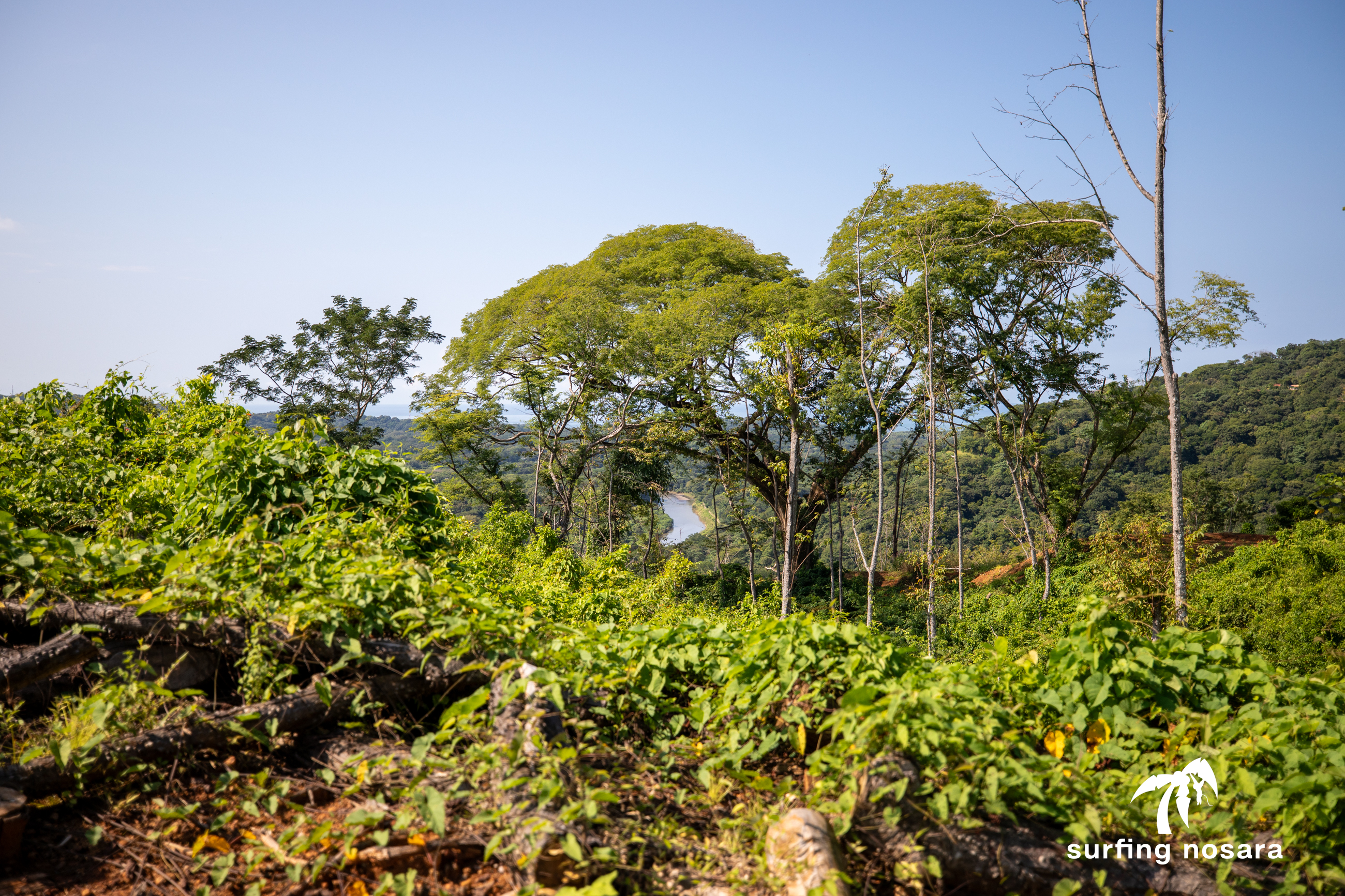 0 bed Land For Sale in Nosara, Guanacaste - thumb 12