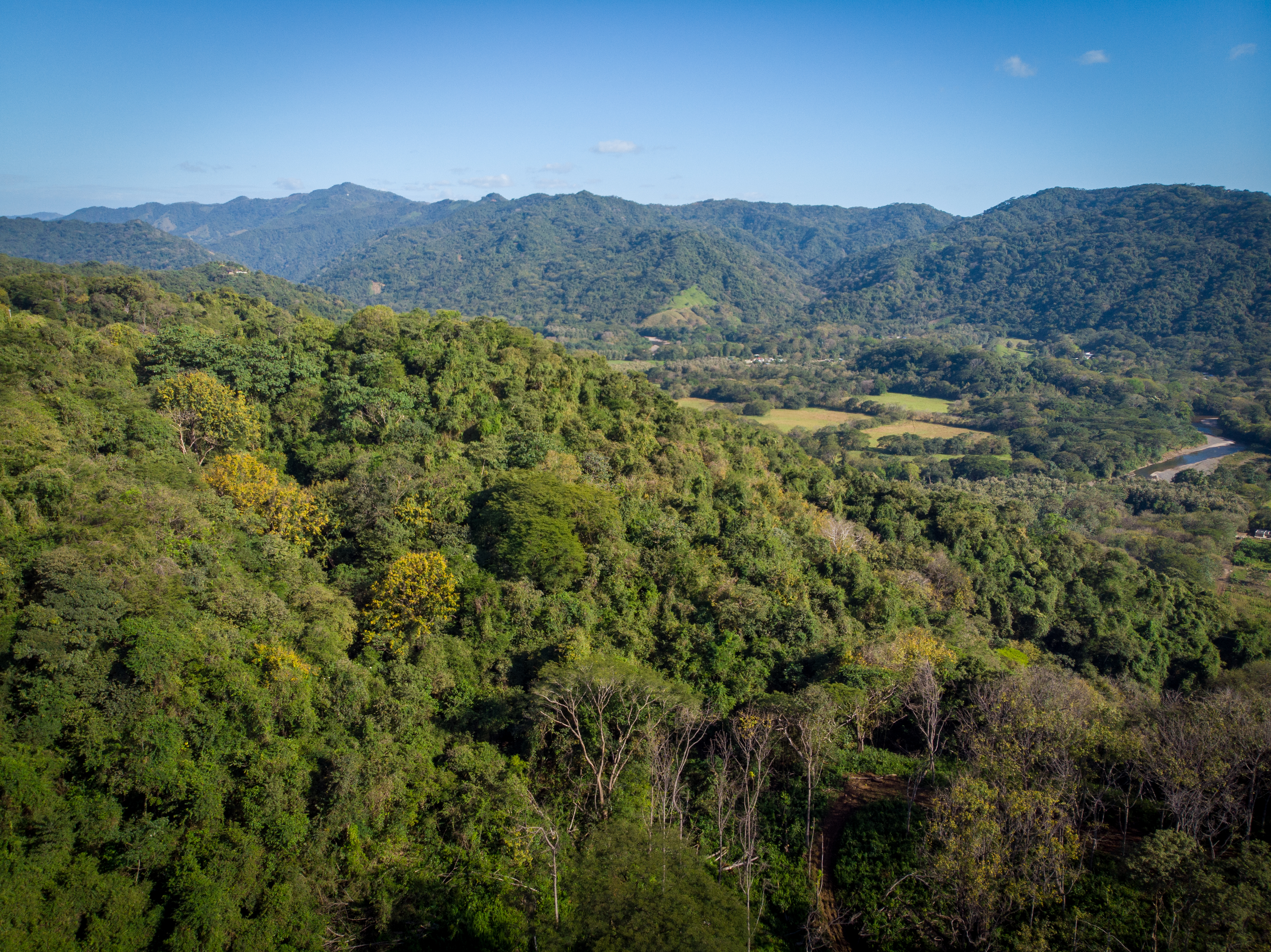 0 bed Land For Sale in Nosara, Guanacaste - thumb 3