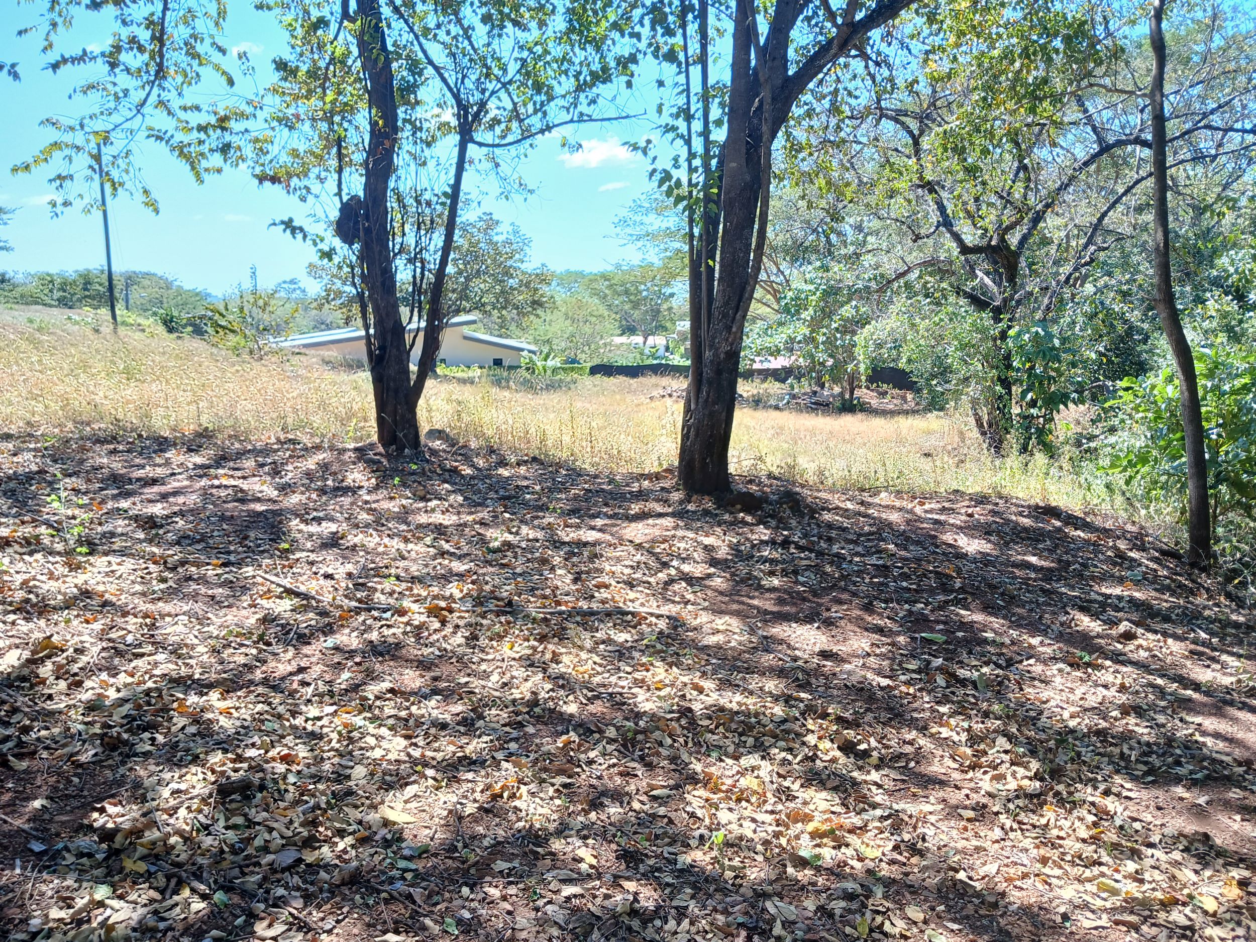 0 bed Land For Sale in Tamarindo, Guanacaste - thumb 15