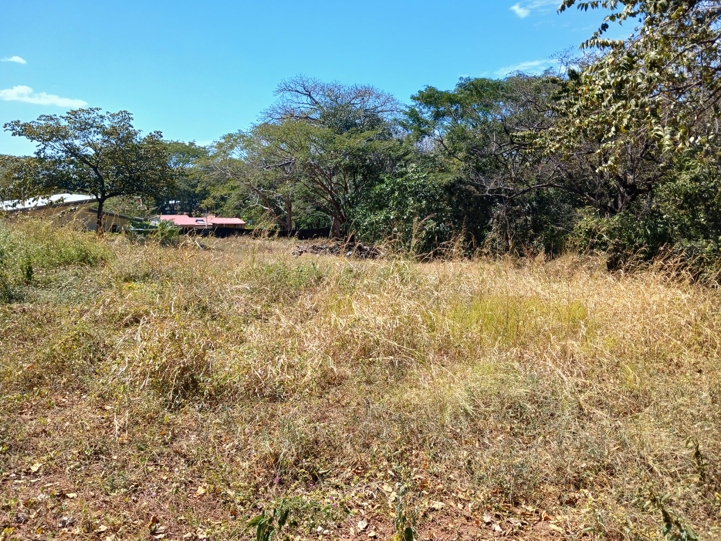 0 bed Land For Sale in Tamarindo, Guanacaste - thumb 16