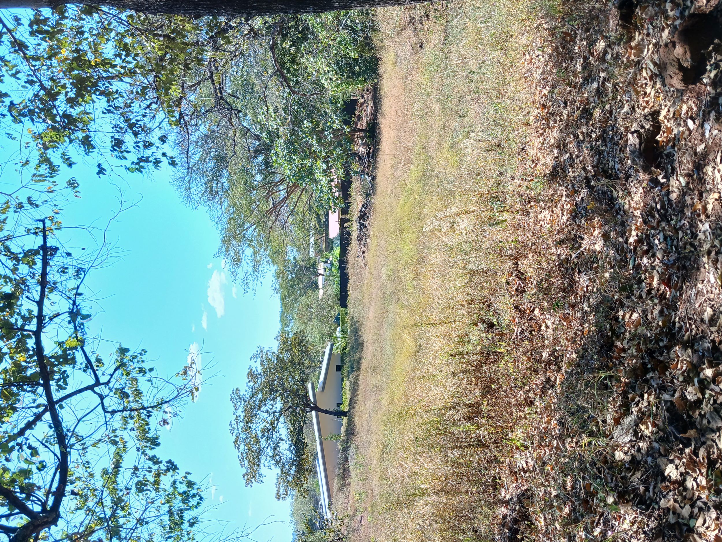 0 bed Land For Sale in Tamarindo, Guanacaste - thumb 5