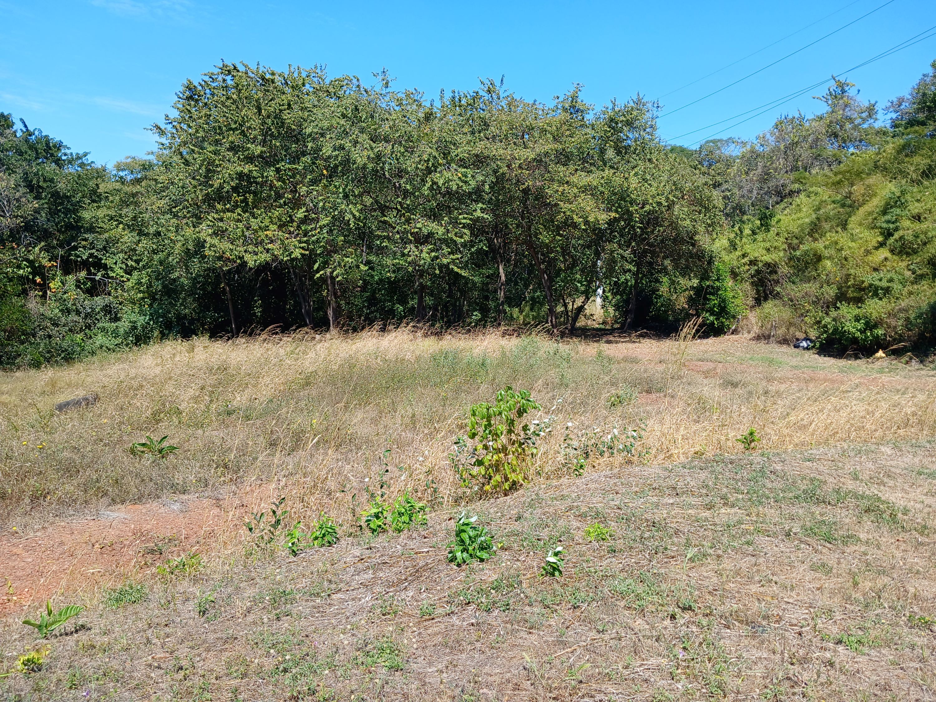 0 bed Land For Sale in Tamarindo, Guanacaste - thumb 8