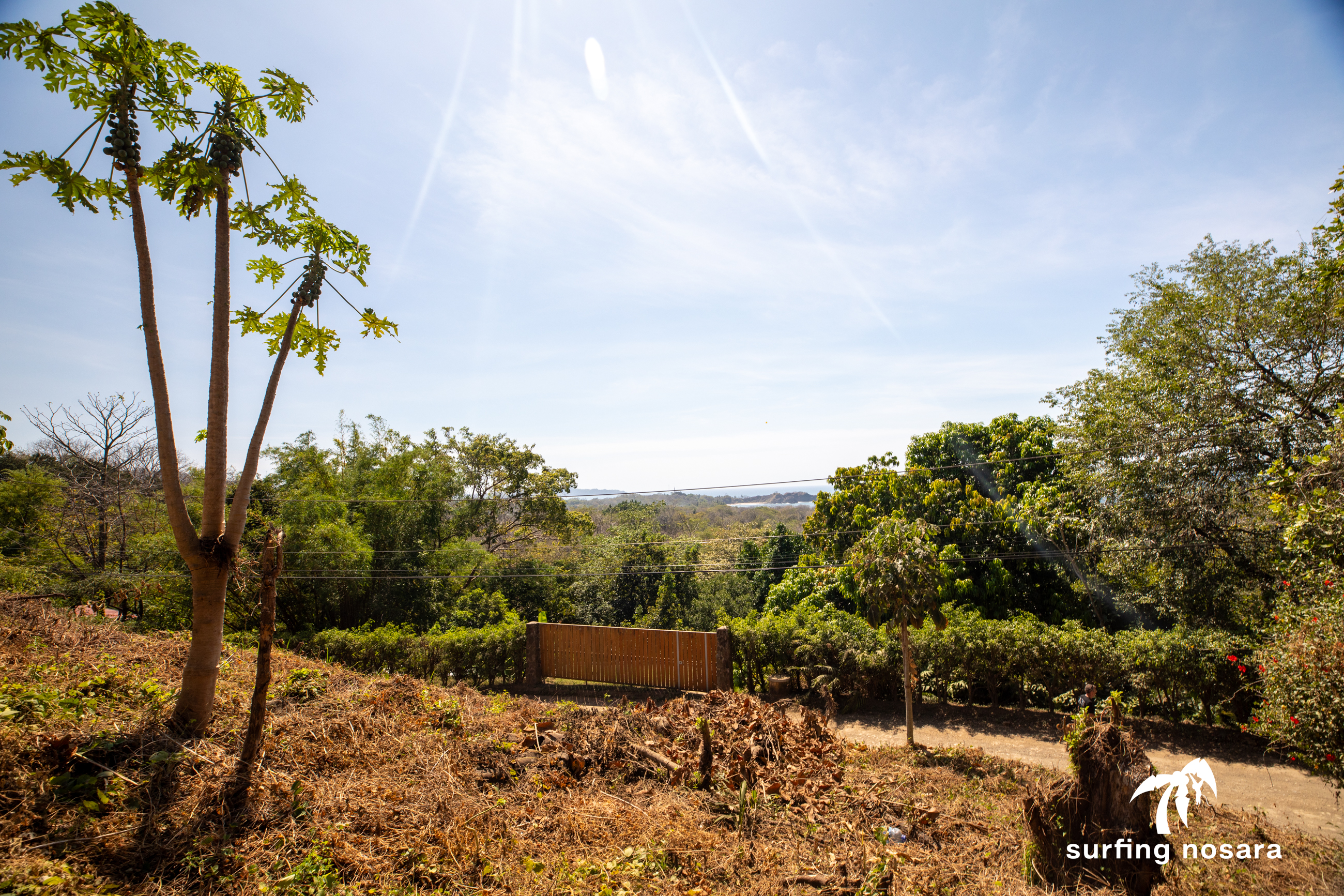 0 bed Land For Sale in Nosara, Guanacaste - thumb 6