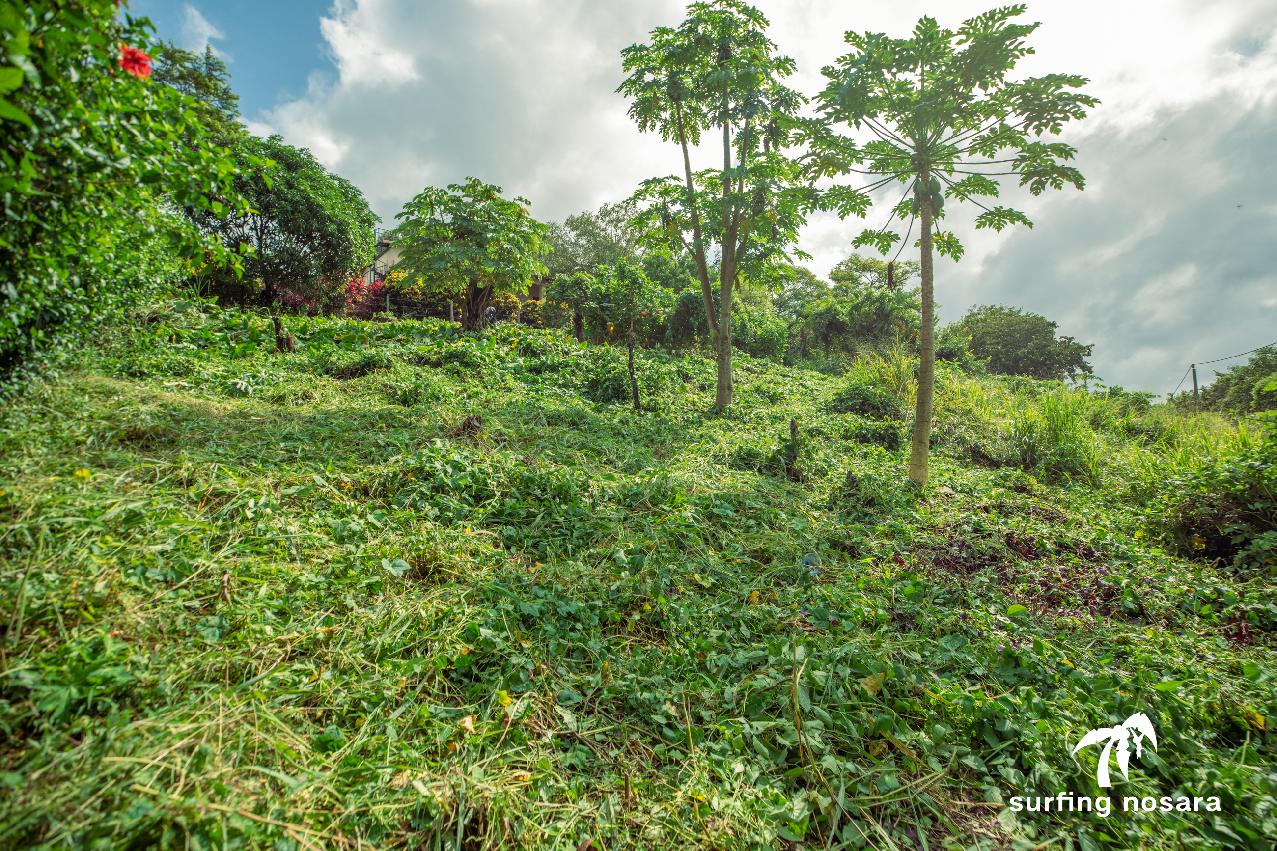 0 bed Land For Sale in Nosara, Guanacaste - thumb 14