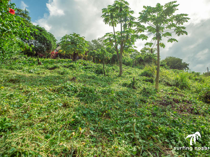 0 bed Land For Sale in Nosara, Guanacaste - photo 14