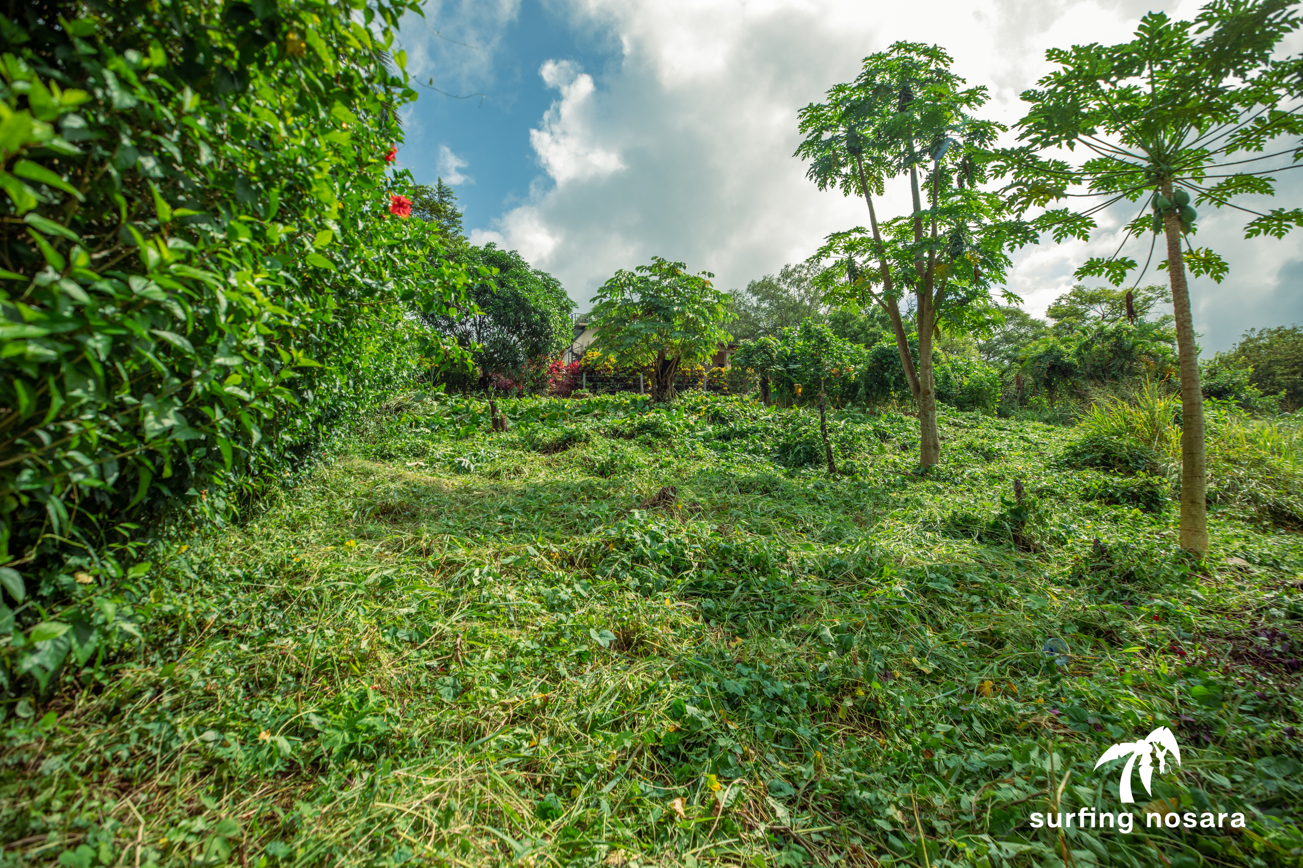 0 bed Land For Sale in Nosara, Guanacaste - thumb 13