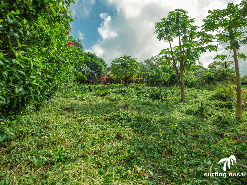 0 bed Land For Sale in Nosara, Guanacaste - photo 13