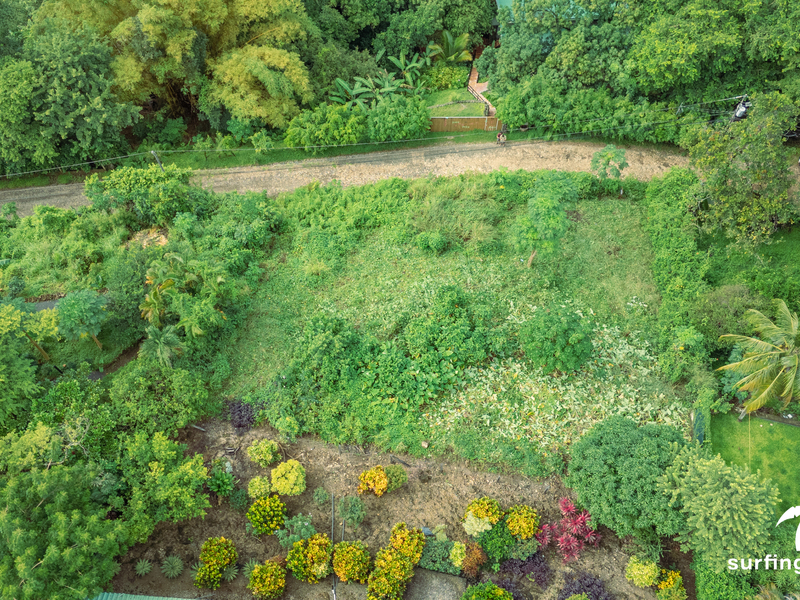 0 bed Land For Sale in Nosara, Guanacaste - photo 11