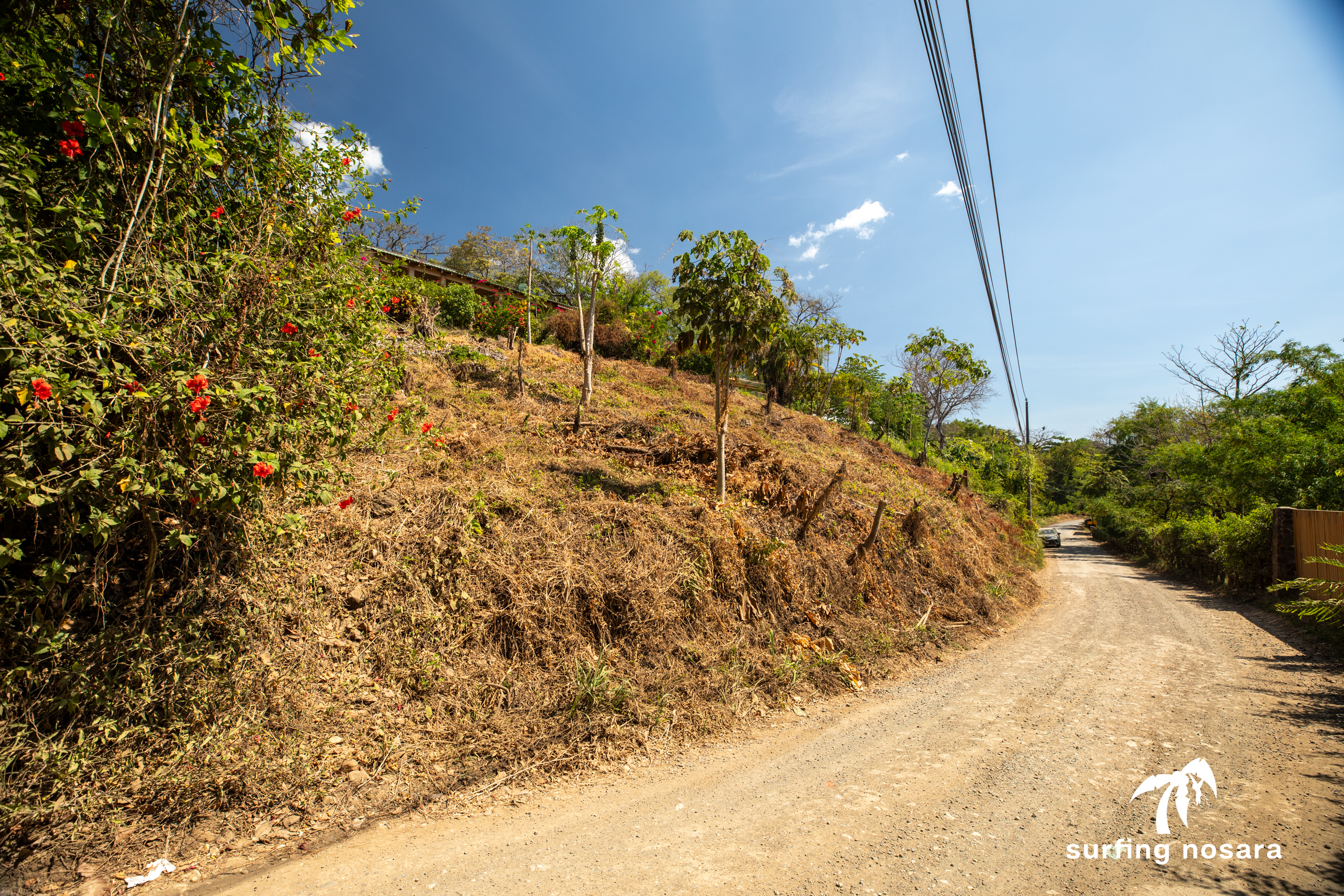 0 bed Land For Sale in Nosara, Guanacaste - thumb 8
