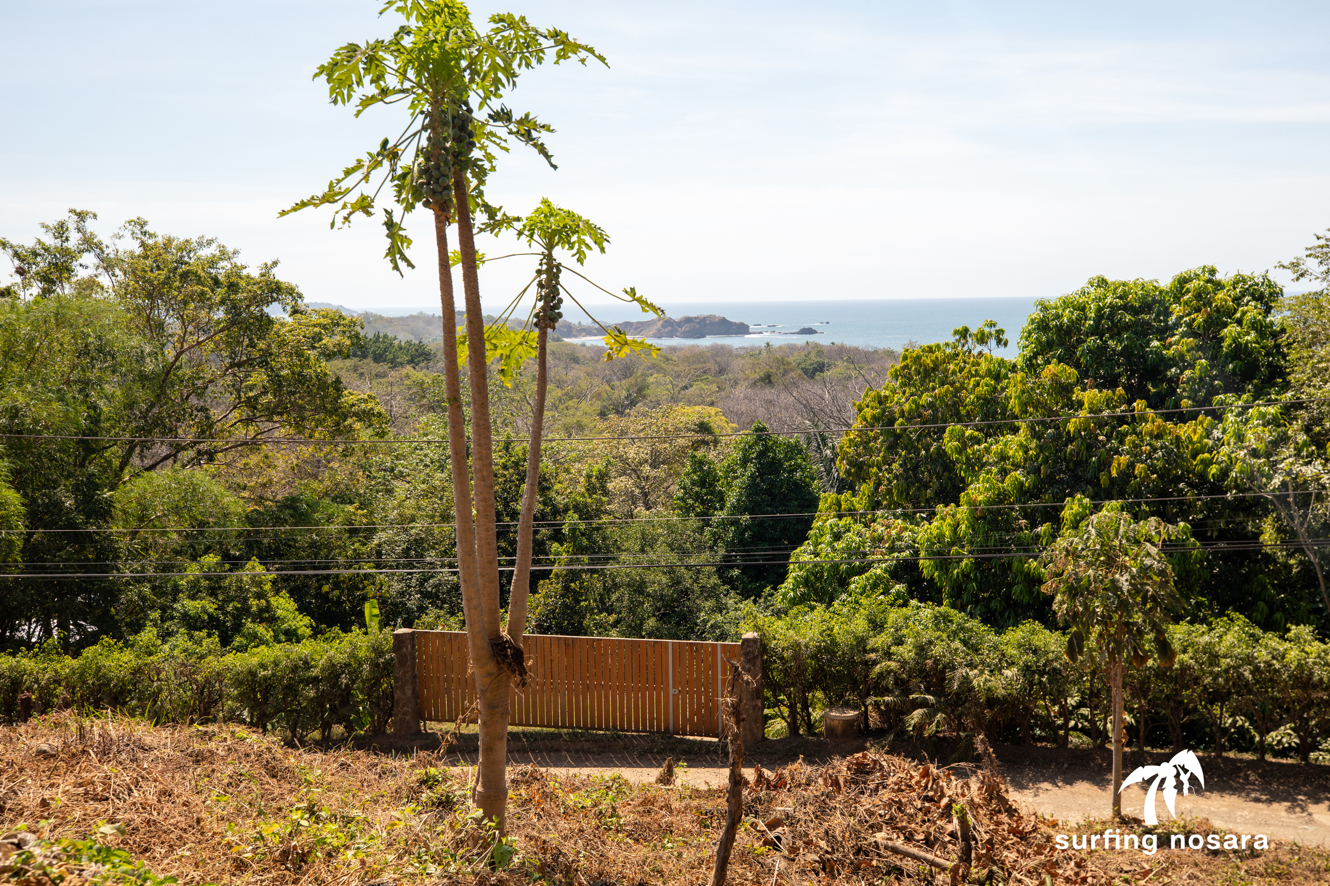 0 bed Land For Sale in Nosara, Guanacaste - thumb 5