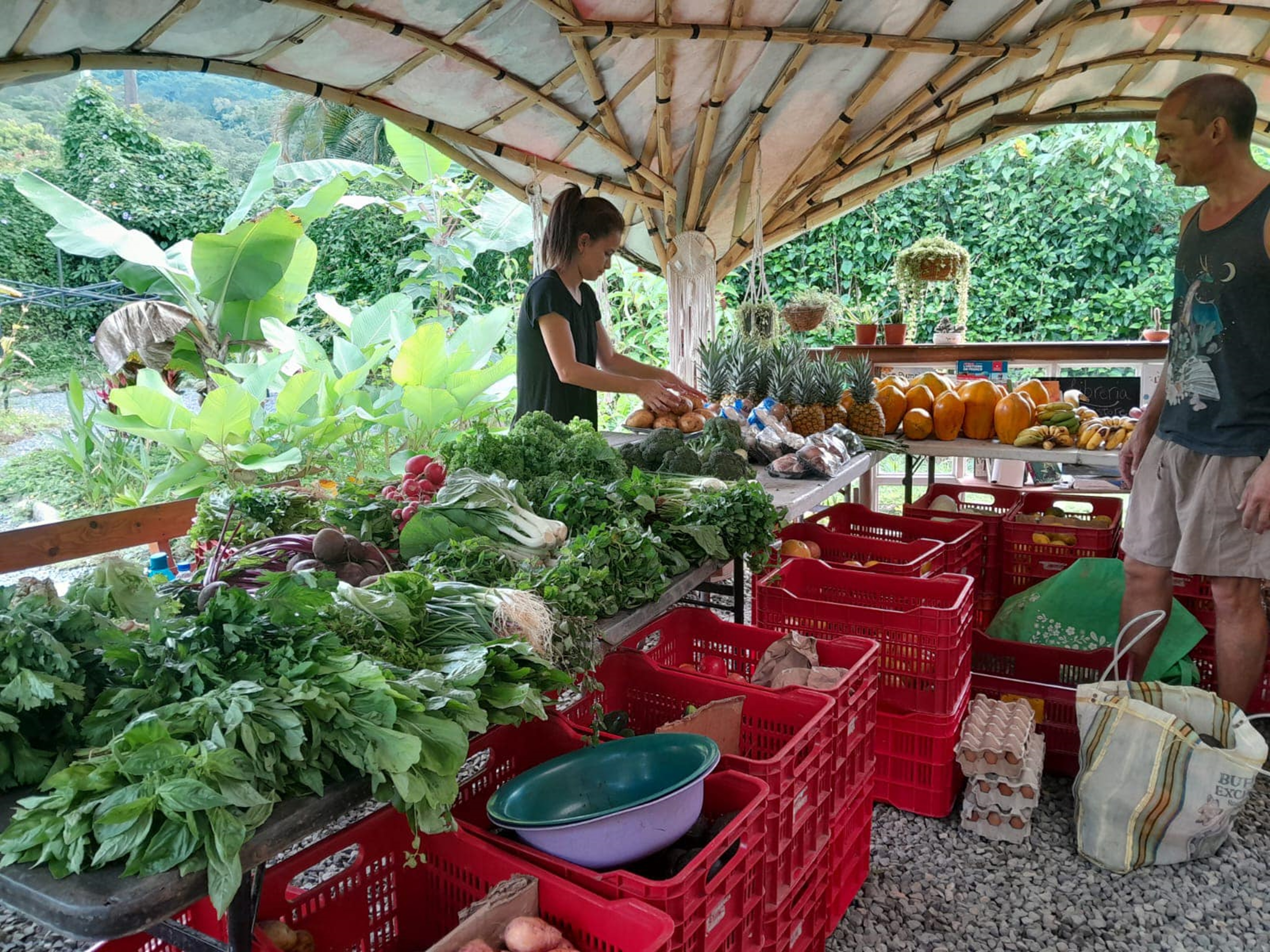 2 bed Single Family Homes For Sale in Ojochal, Puntarenas - thumb 18