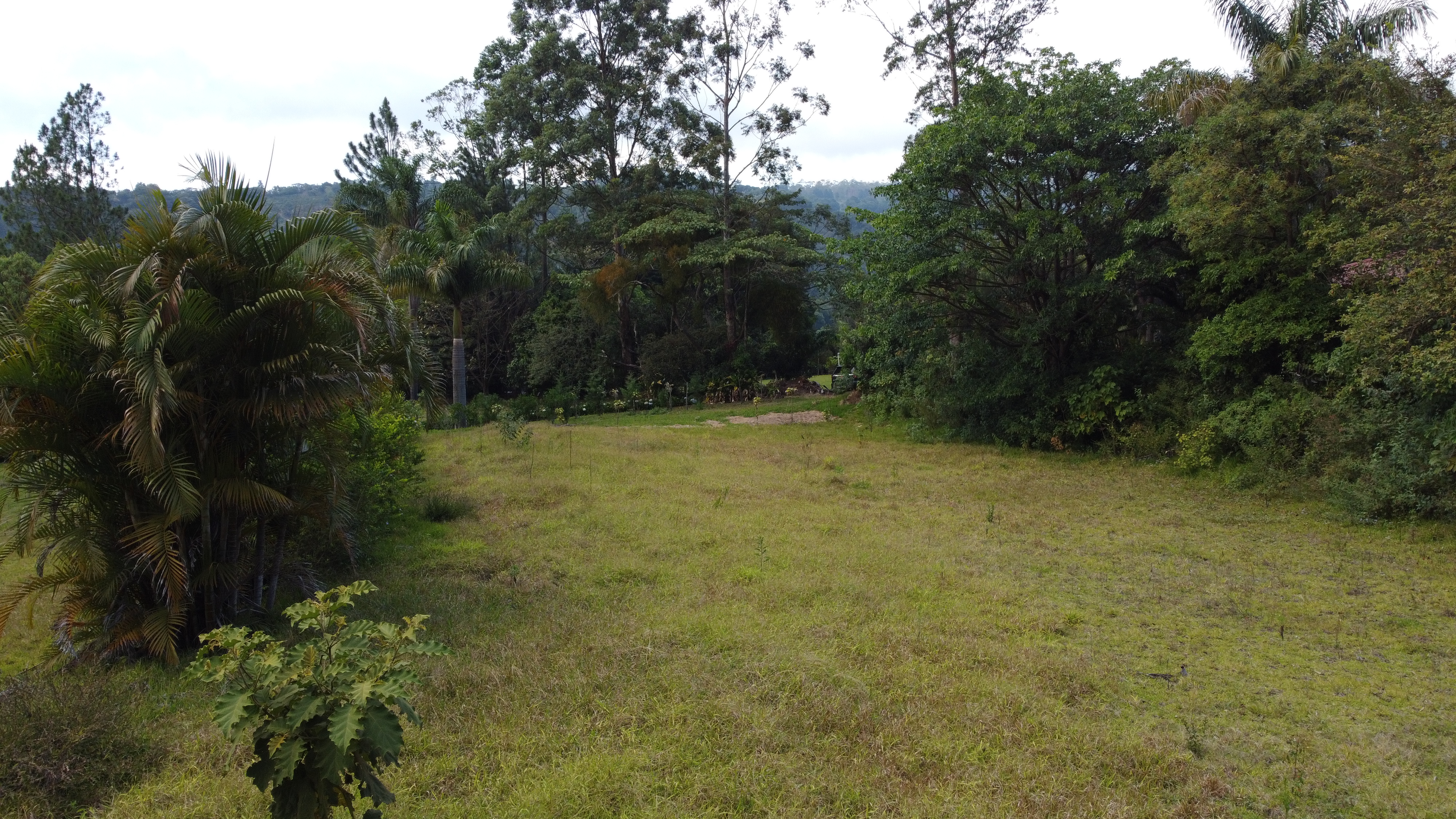 0 bed Land For Sale in Alajuela, Alajuela - thumb 12