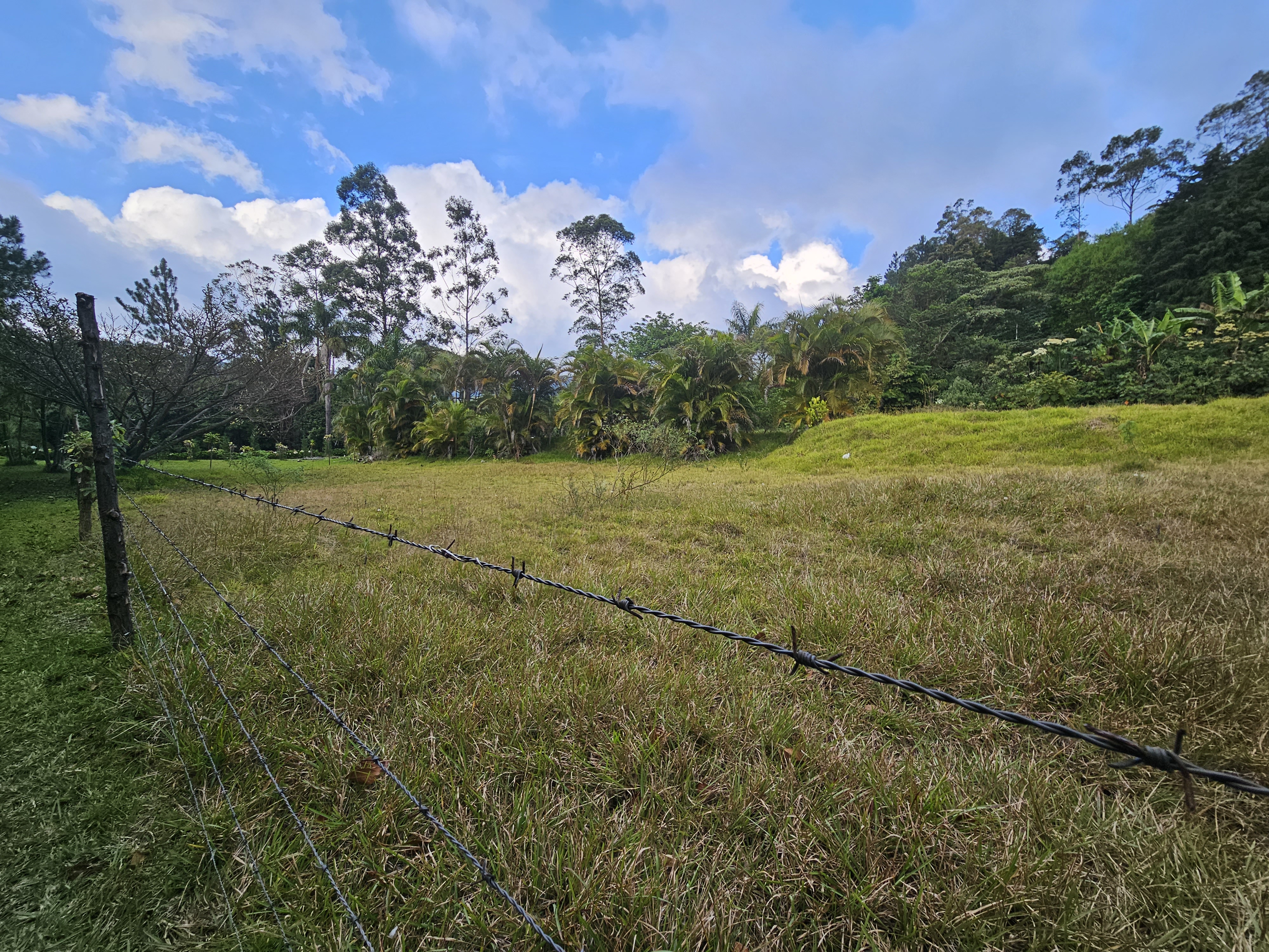 0 bed Land For Sale in Alajuela, Alajuela - thumb 5