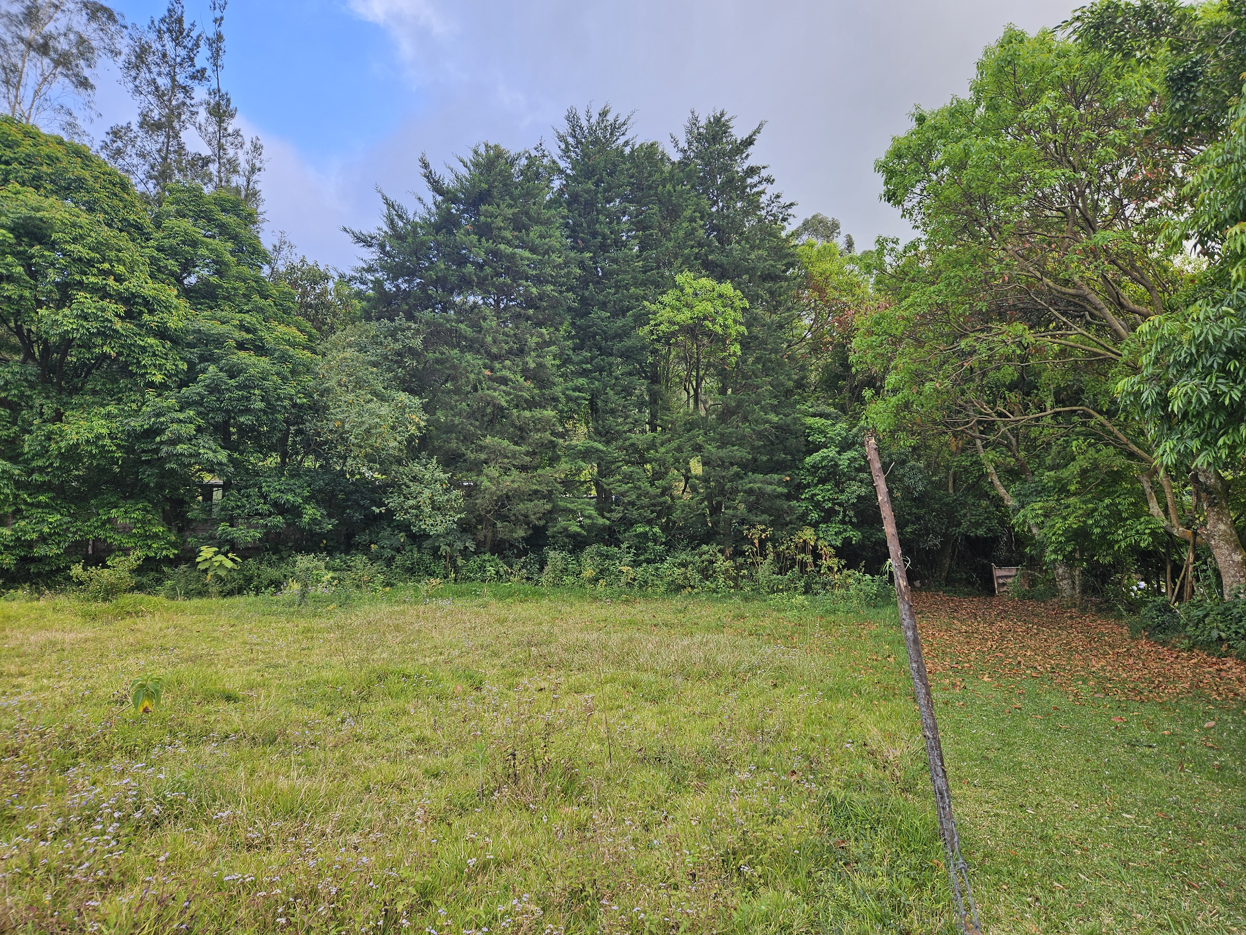 0 bed Land For Sale in Alajuela, Alajuela - thumb 4