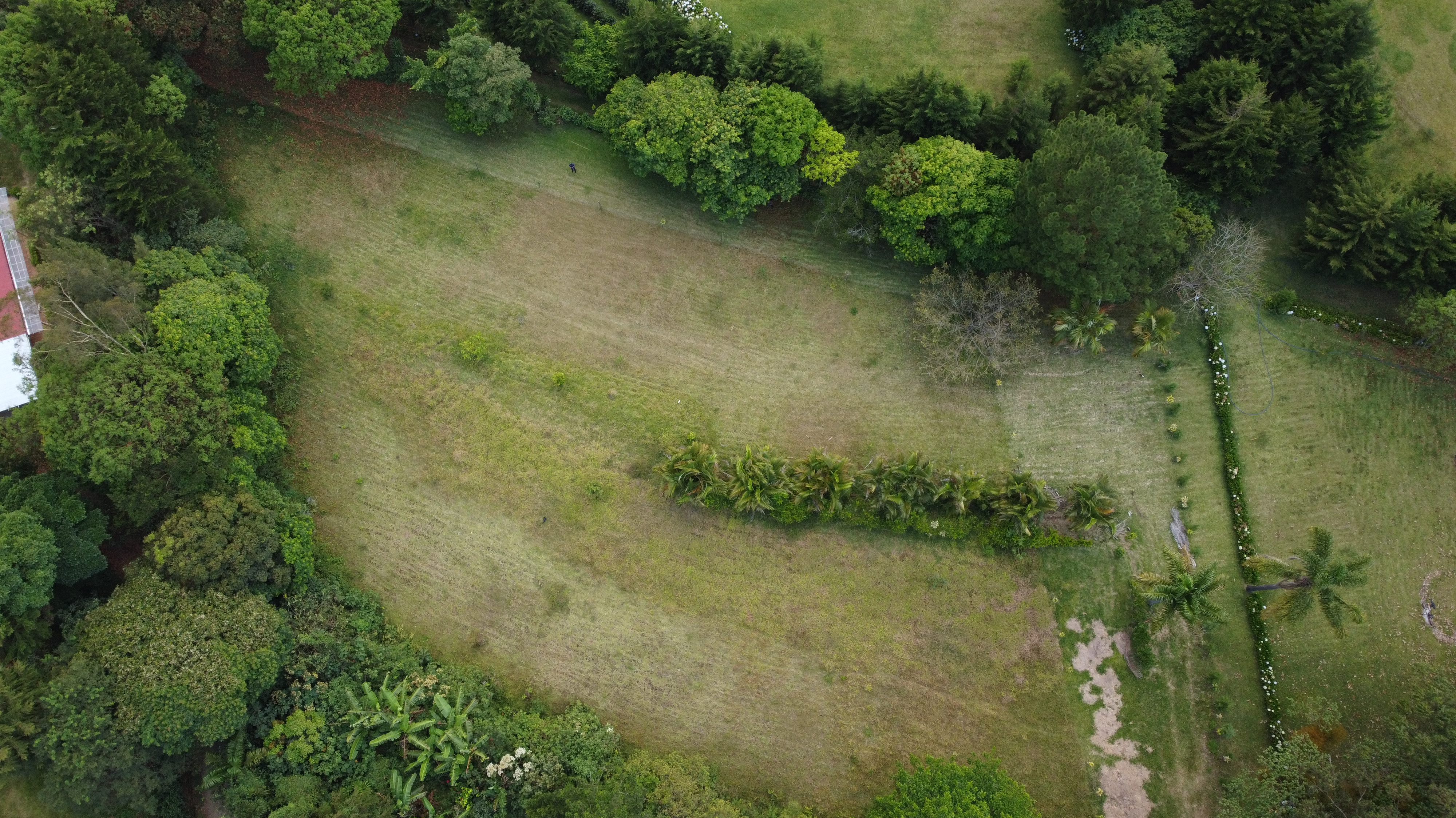 0 bed Land For Sale in Alajuela, Alajuela - thumb 10