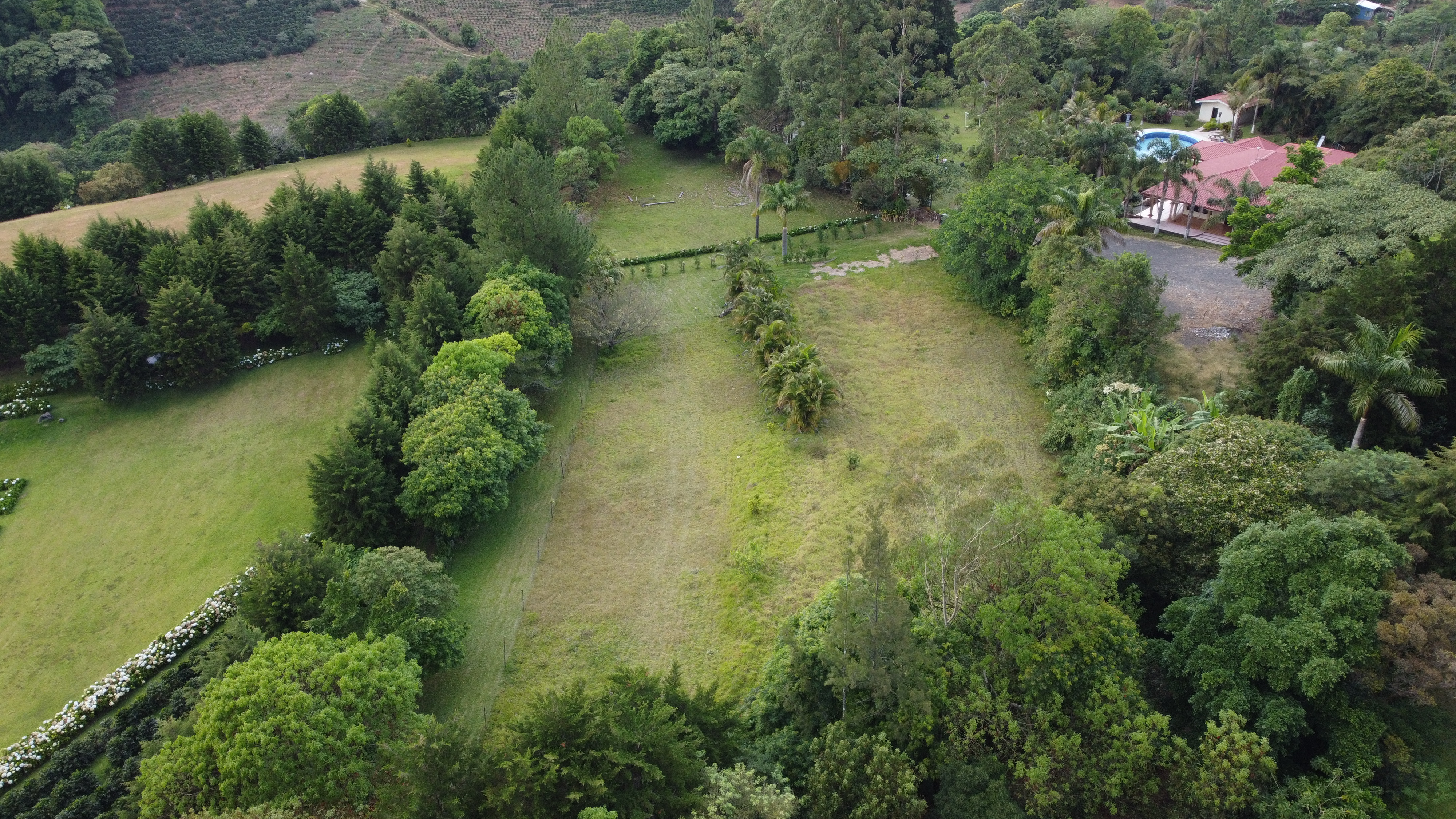 0 bed Land For Sale in Alajuela, Alajuela - thumb 9