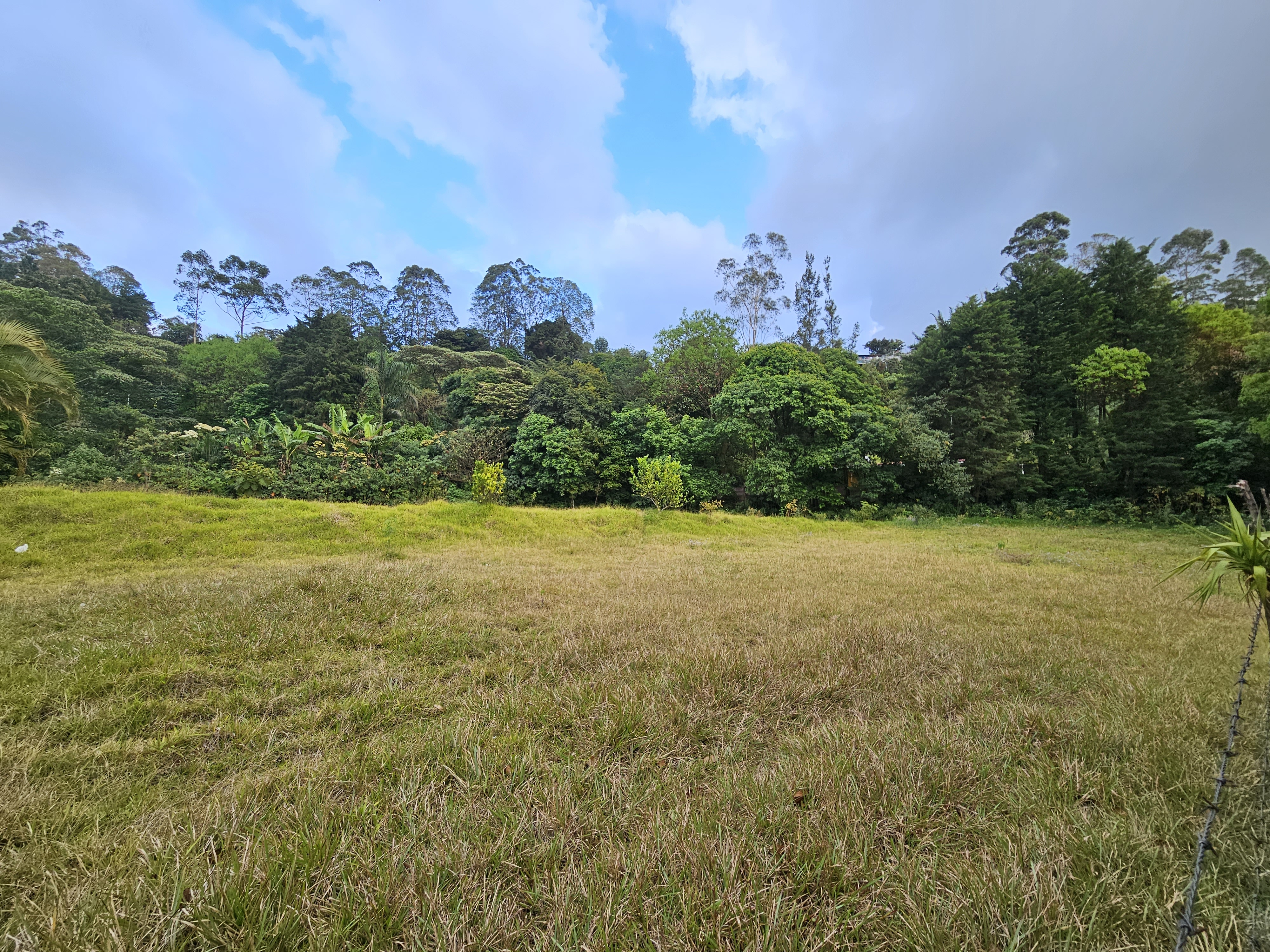 0 bed Land For Sale in Alajuela, Alajuela - thumb 17