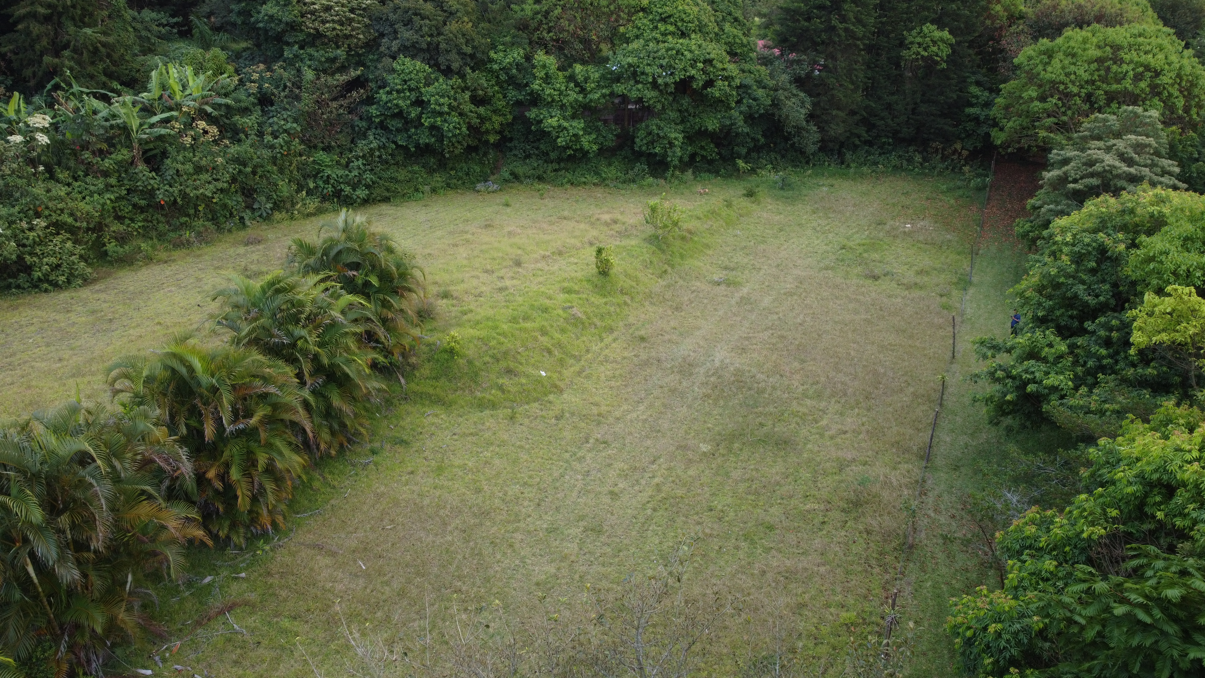 0 bed Land For Sale in Alajuela, Alajuela - thumb 15