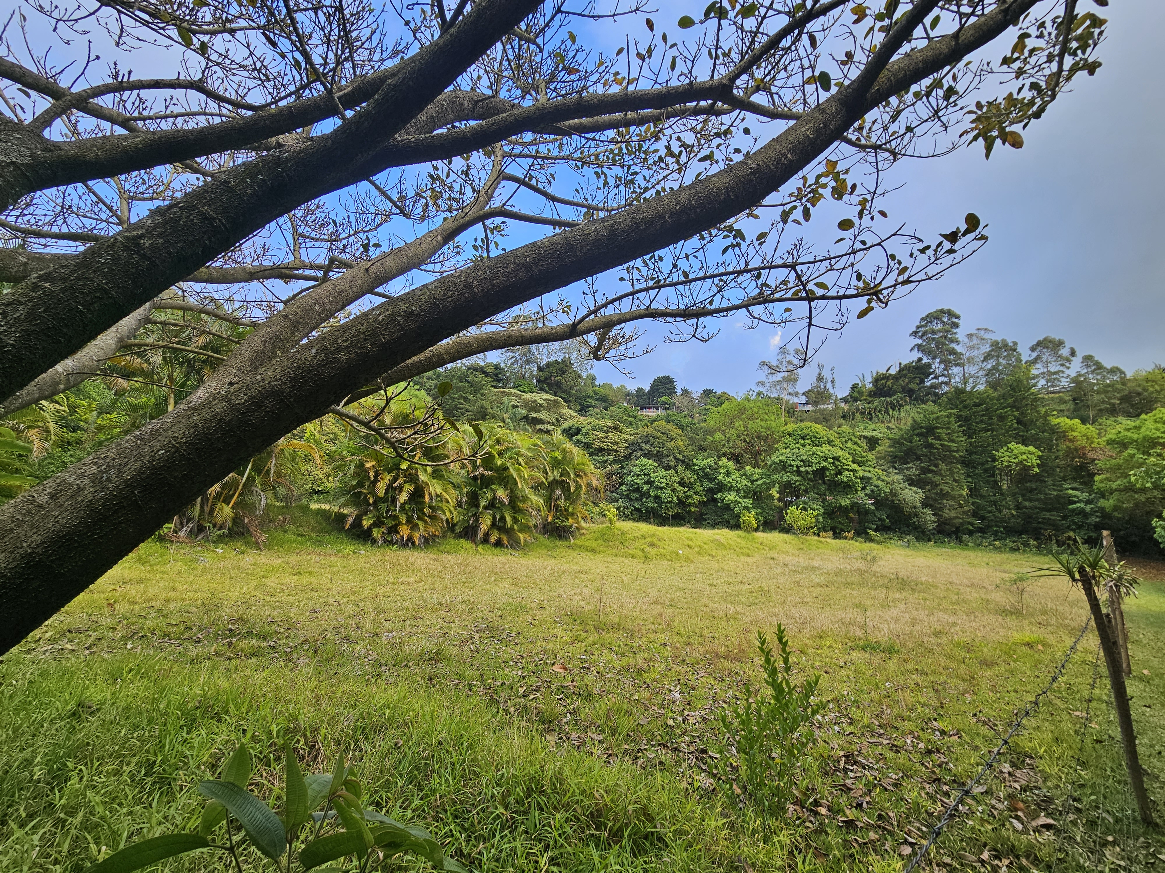 0 bed Land For Sale in Alajuela, Alajuela - thumb 8