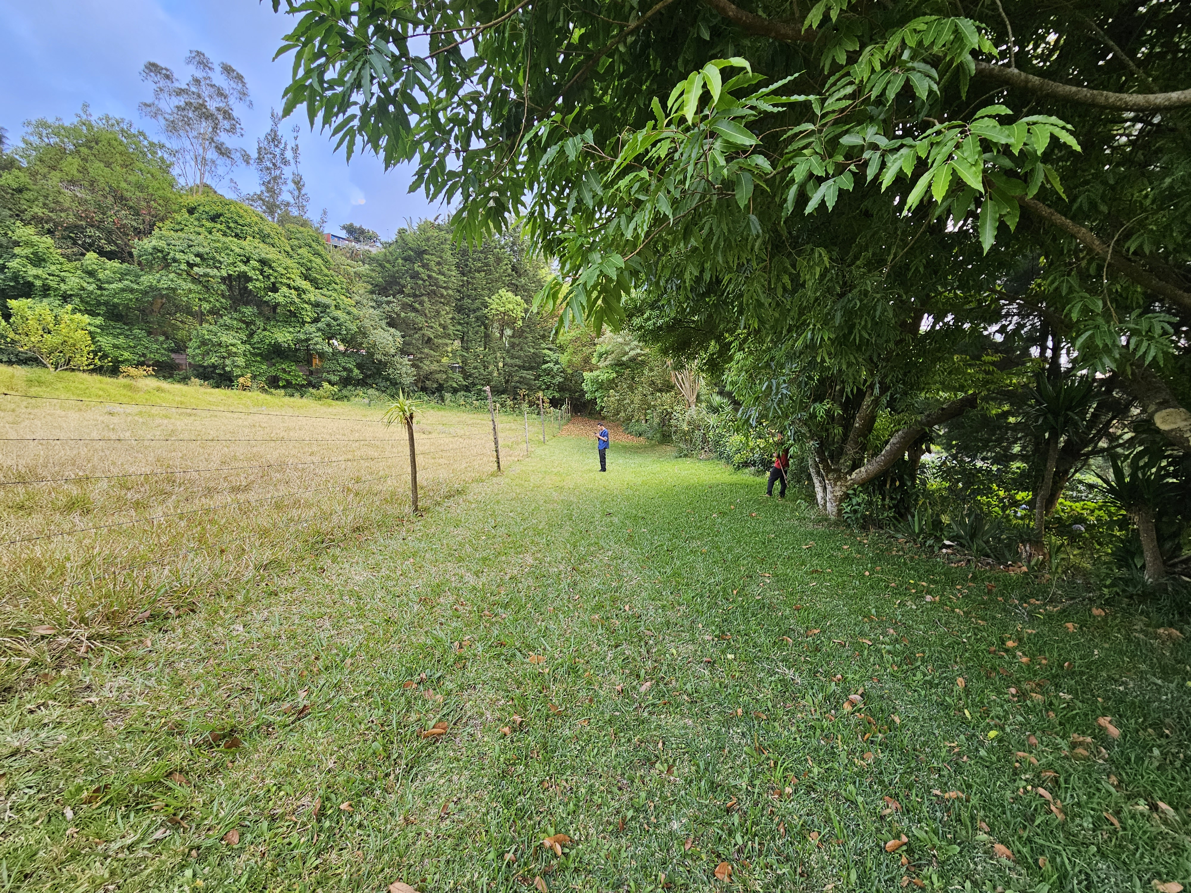 0 bed Land For Sale in Alajuela, Alajuela - thumb 6