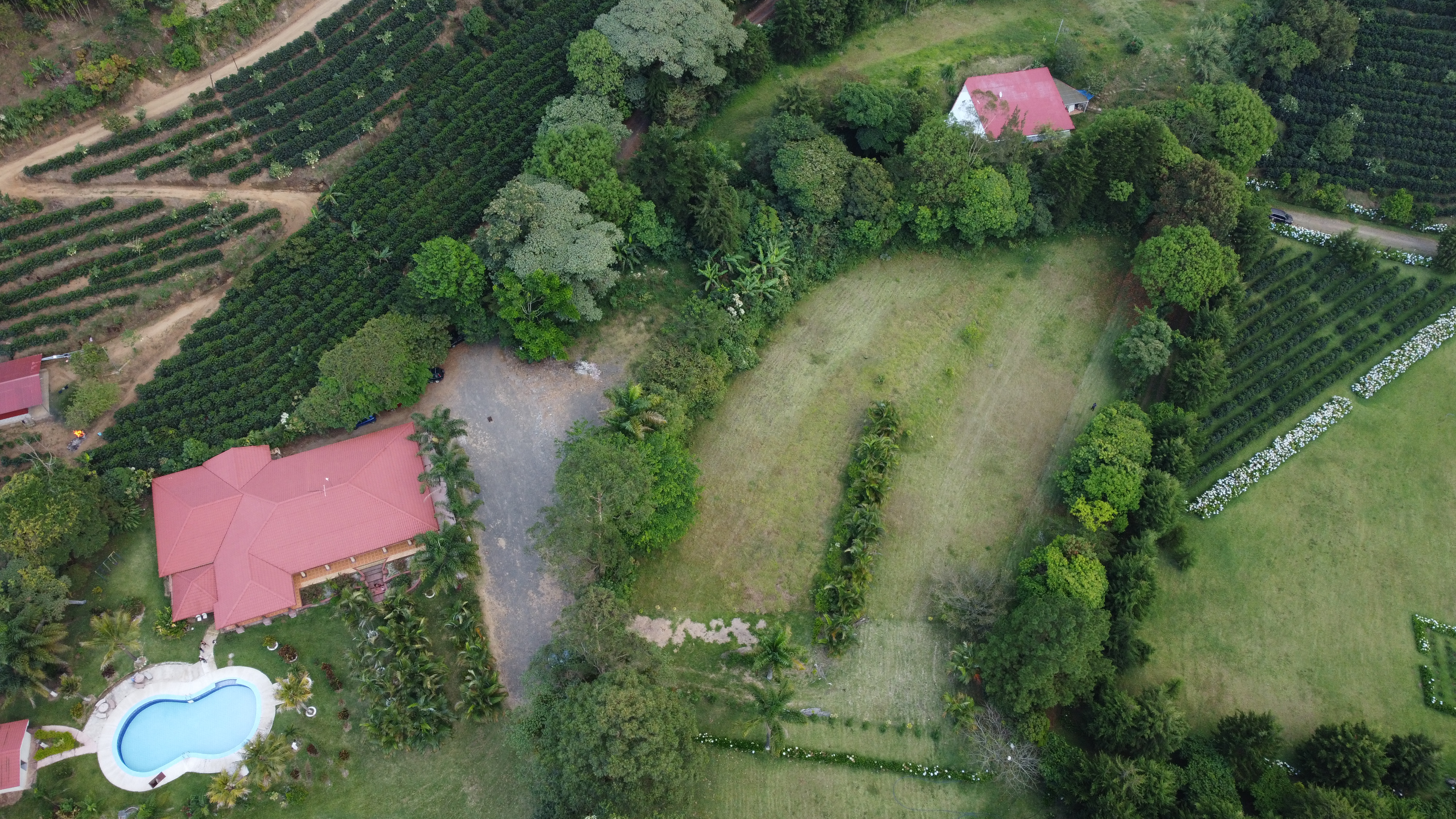 0 bed Land For Sale in Alajuela, Alajuela - thumb 14