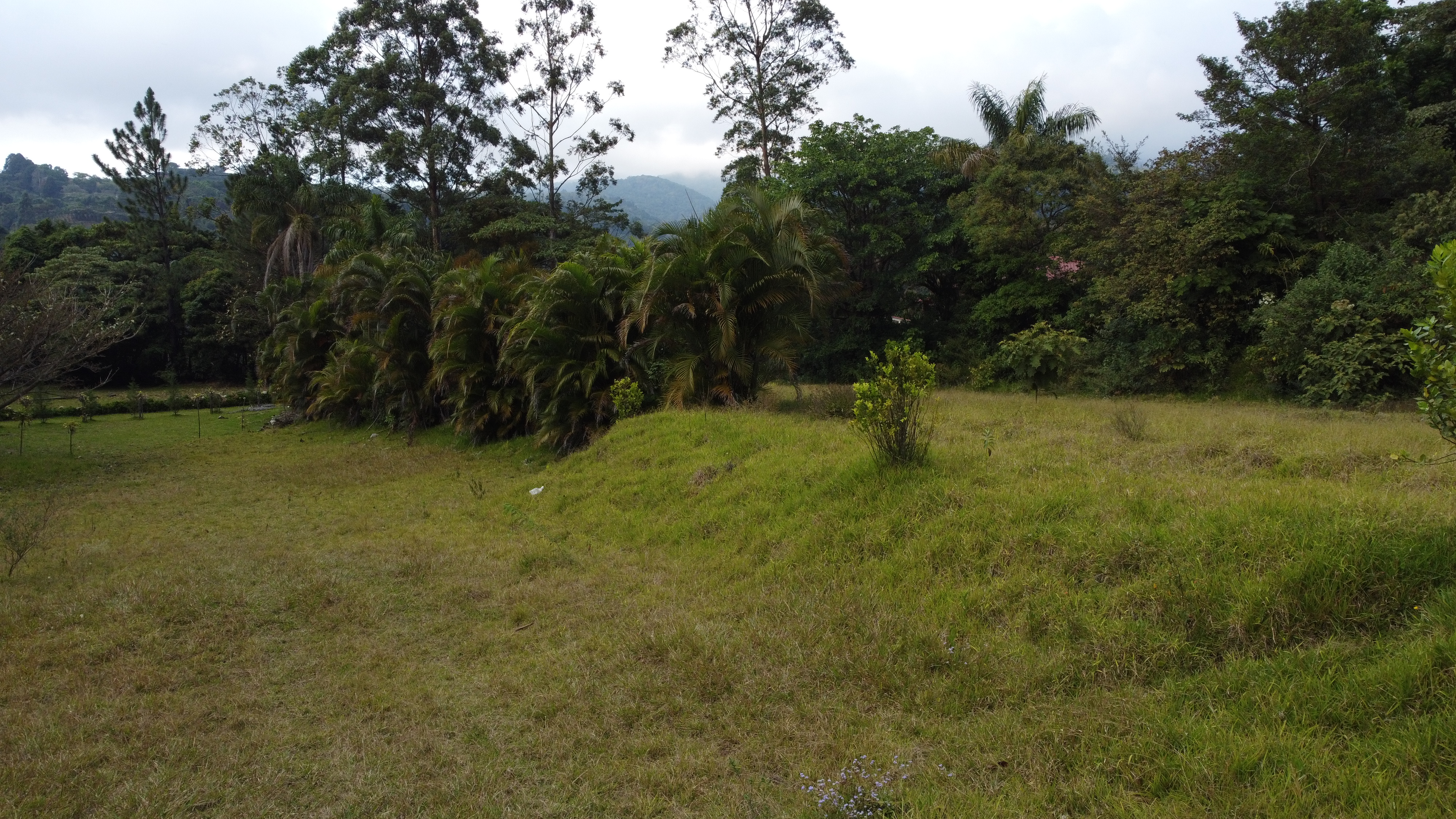 0 bed Land For Sale in Alajuela, Alajuela - thumb 11