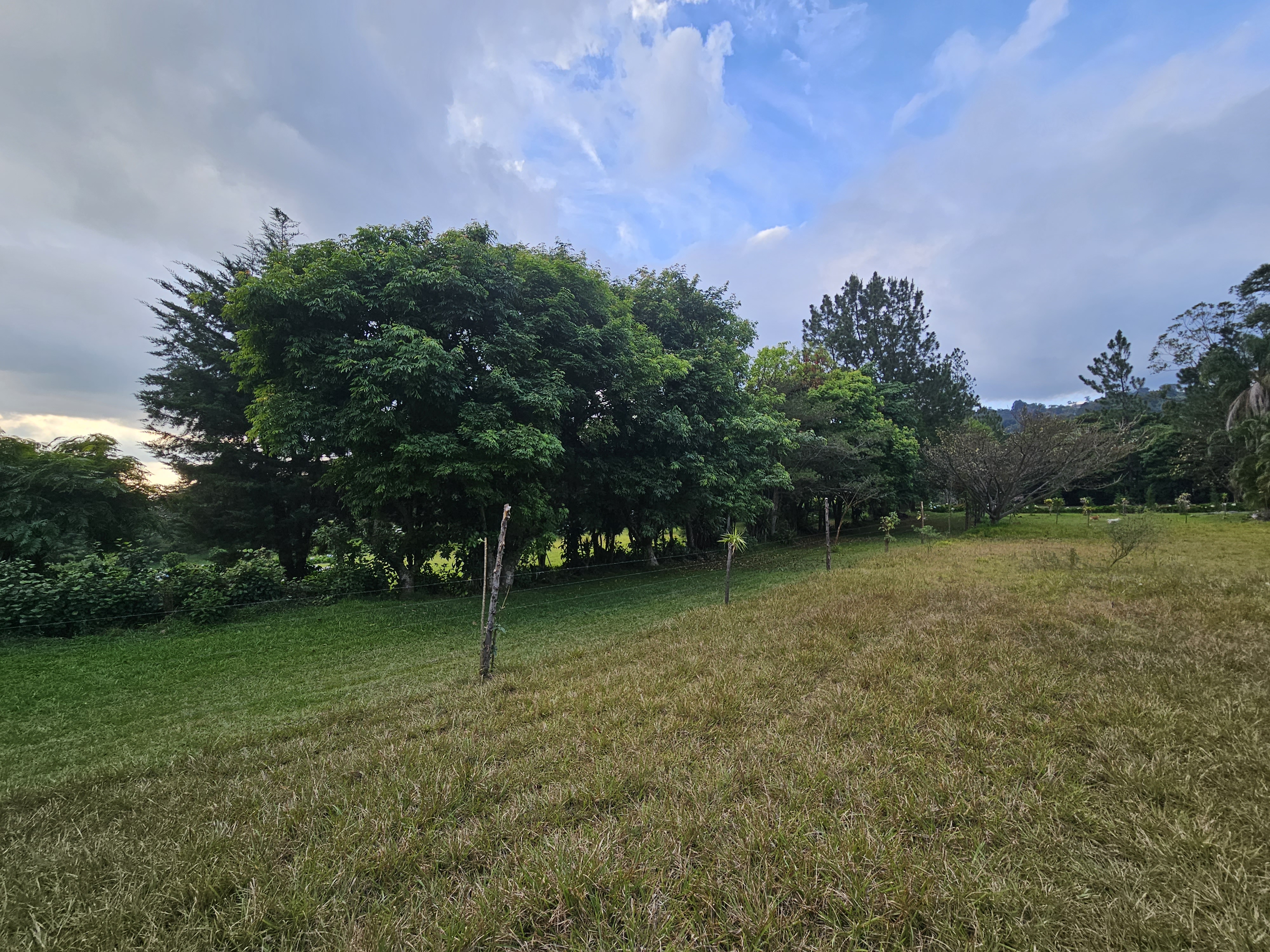 0 bed Land For Sale in Alajuela, Alajuela - thumb 18