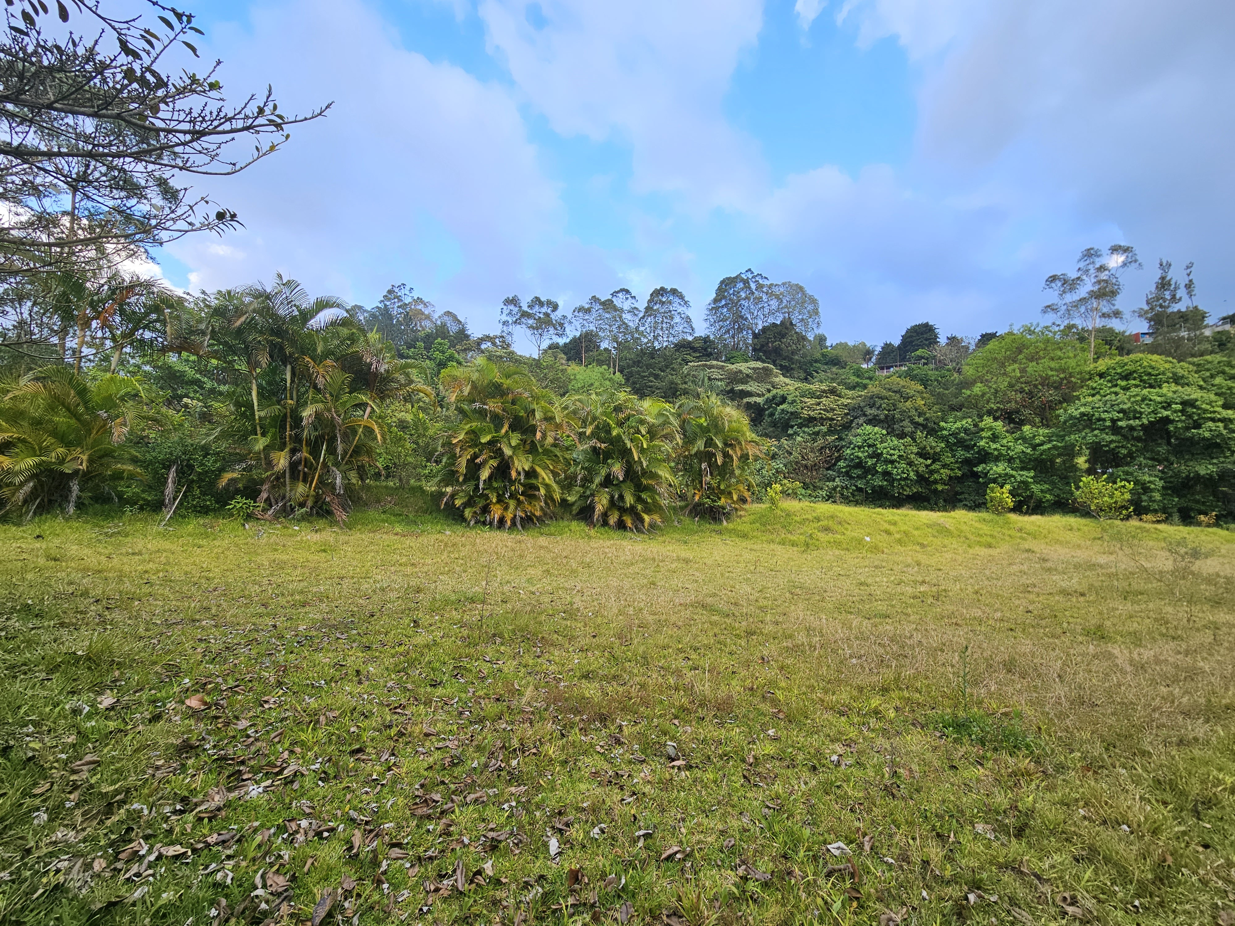 0 bed Land For Sale in Alajuela, Alajuela - thumb 7