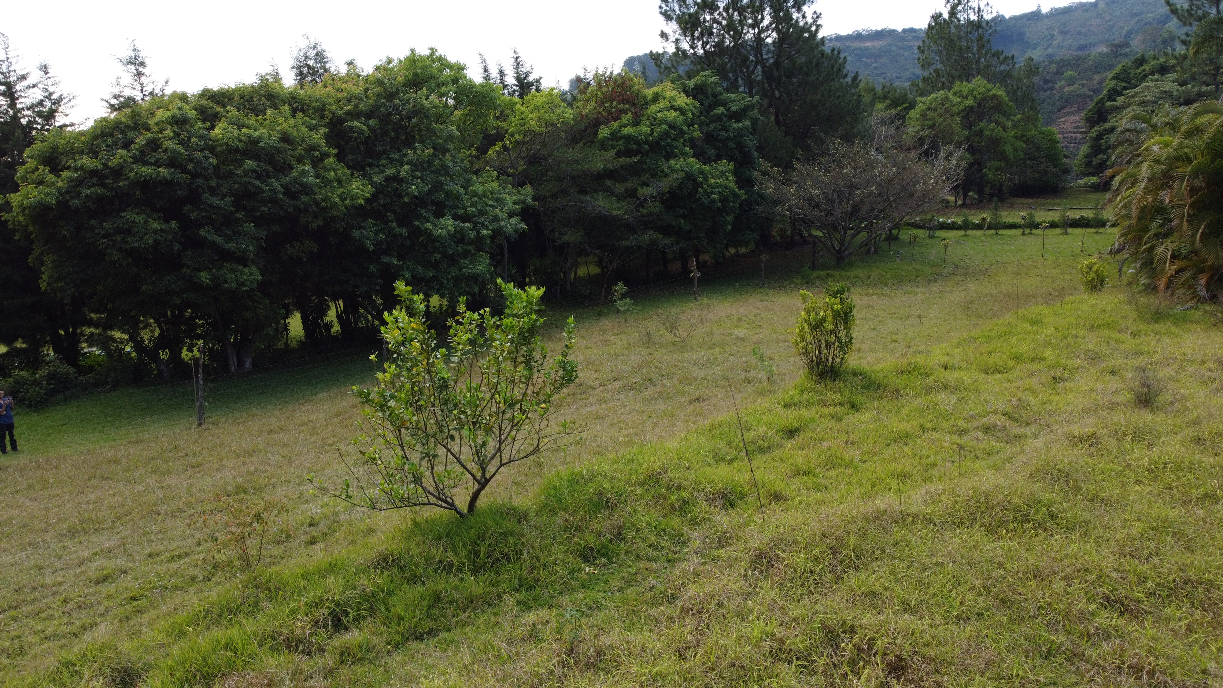 0 bed Land For Sale in Alajuela, Alajuela - thumb 13