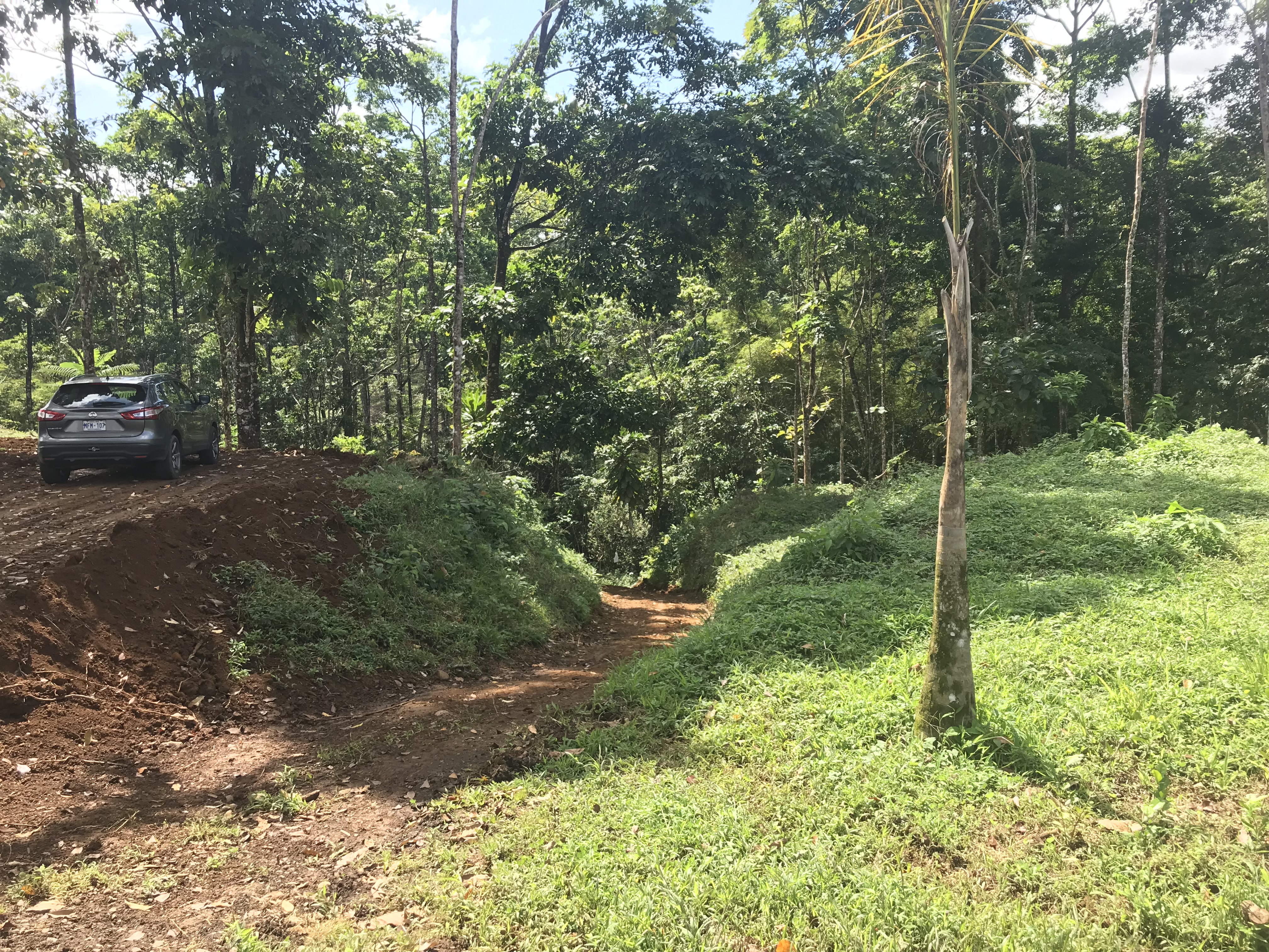 0 bed Land For Sale in La Fortuna, Alajuela - thumb 4