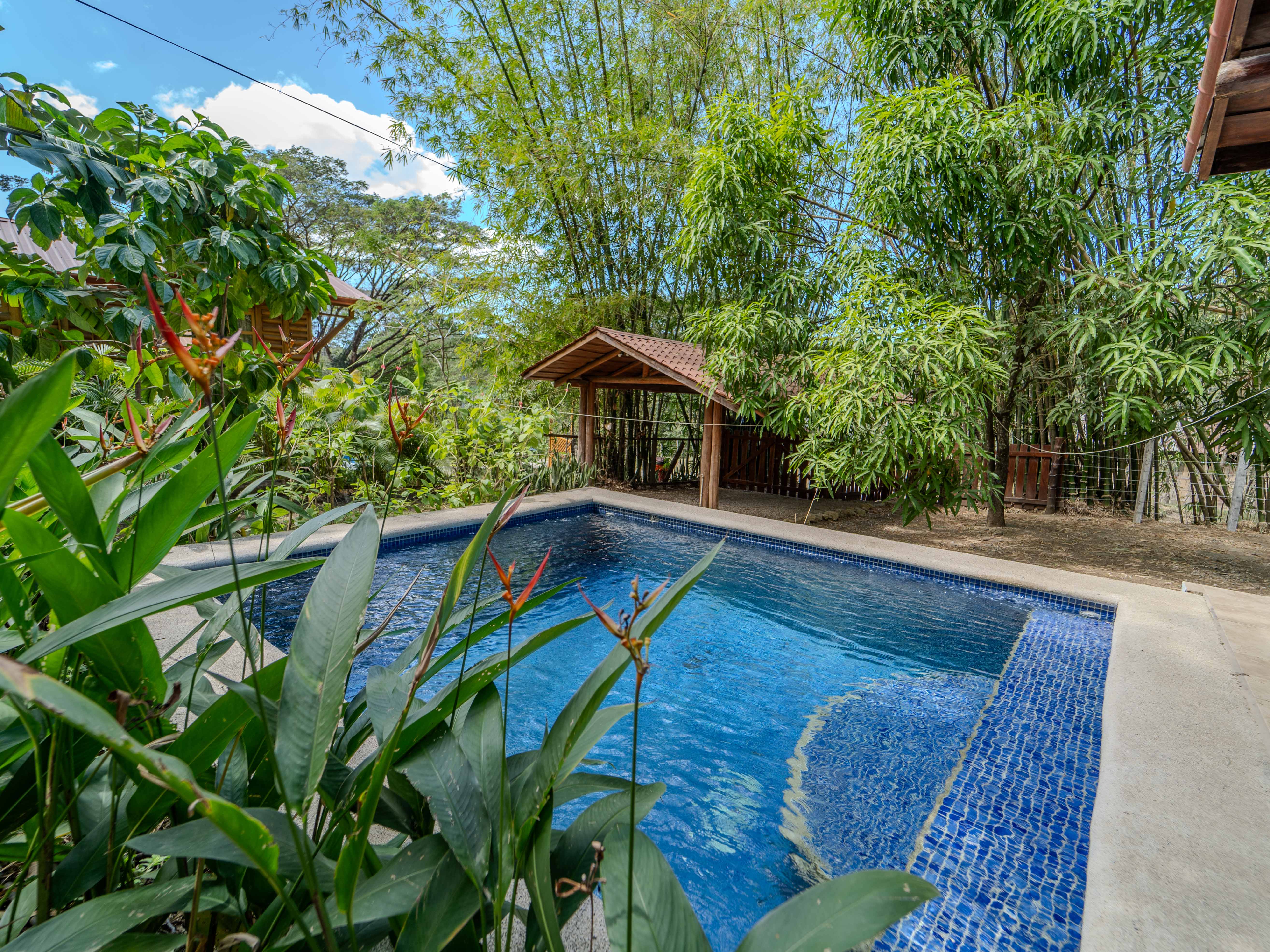 2 bed Single Family Homes For Sale in Samara, Guanacaste - thumb 9