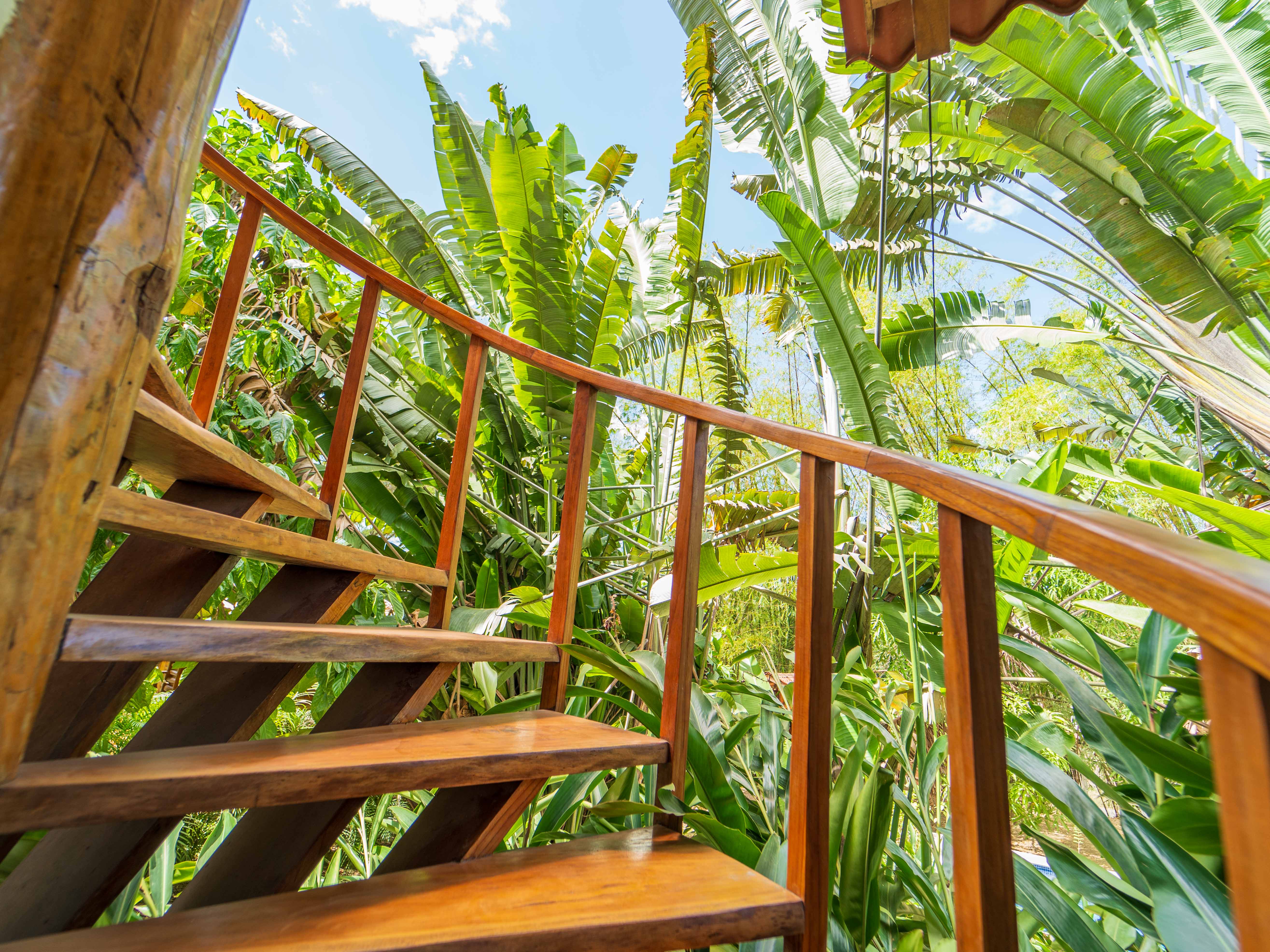 2 bed Single Family Homes For Sale in Samara, Guanacaste - thumb 25