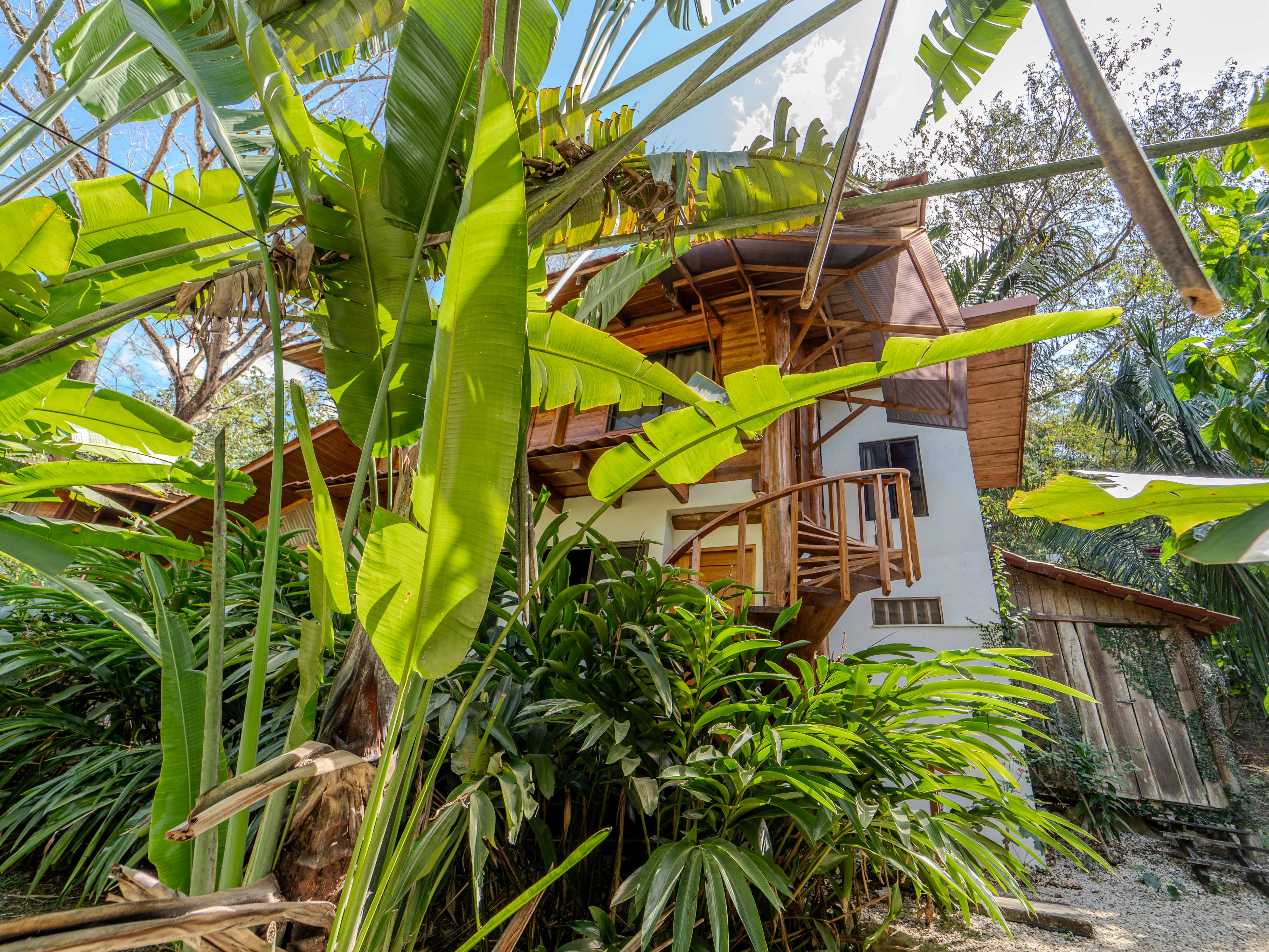 2 bed Single Family Homes For Sale in Samara, Guanacaste - thumb 11