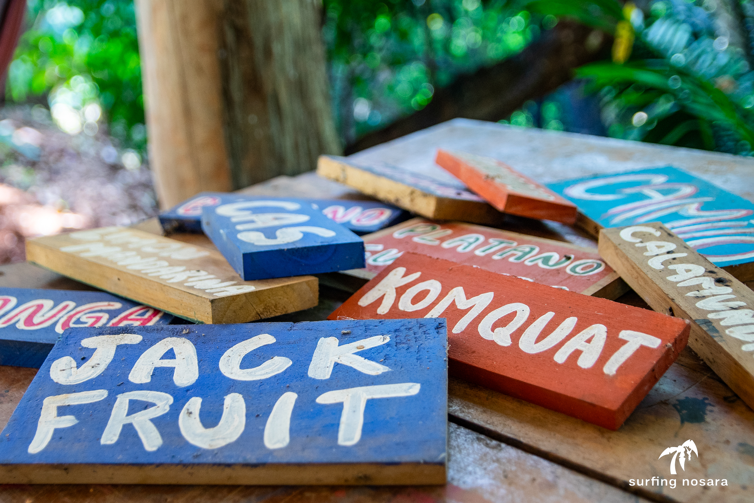 6 bed Land For Sale in Nosara, Guanacaste - thumb 16