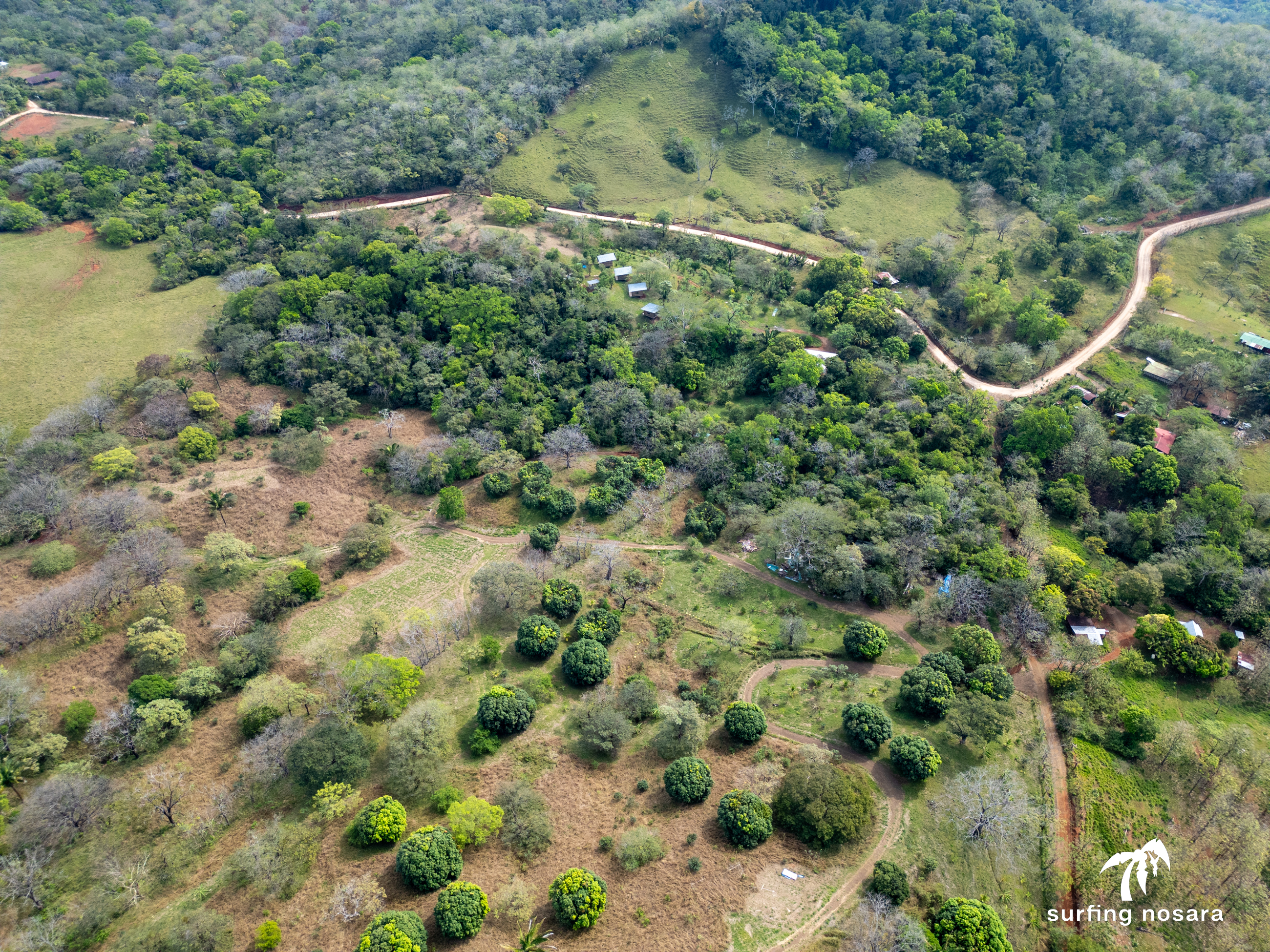 6 bed Land For Sale in Nosara, Guanacaste - thumb 18