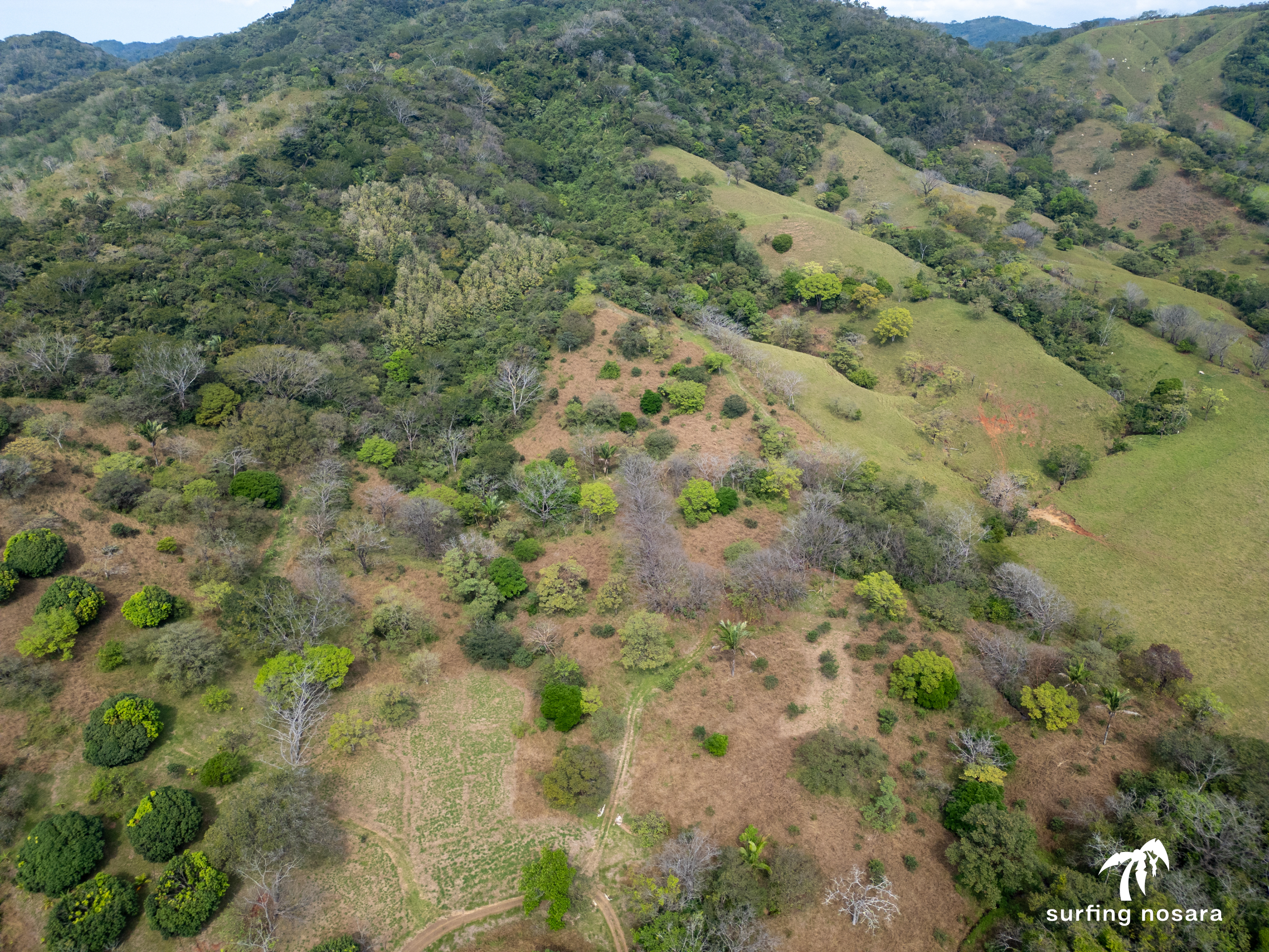 6 bed Land For Sale in Nosara, Guanacaste - thumb 19
