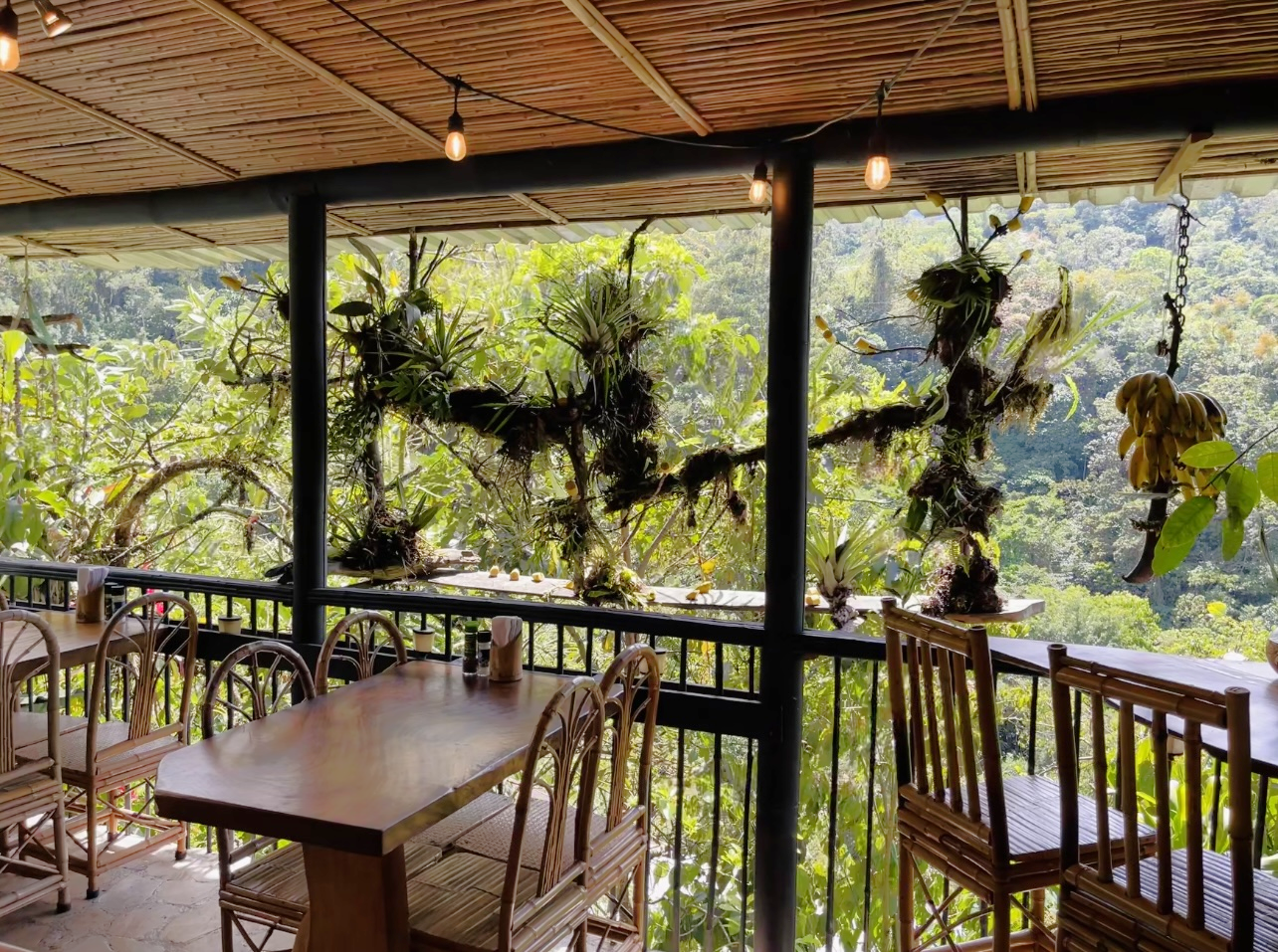 1 bed Commercial For Sale in Perez Zeledon, San Jose - thumb 19