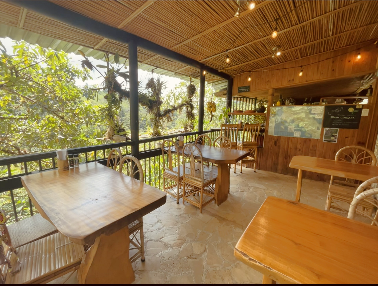 1 bed Commercial For Sale in Perez Zeledon, San Jose - thumb 20