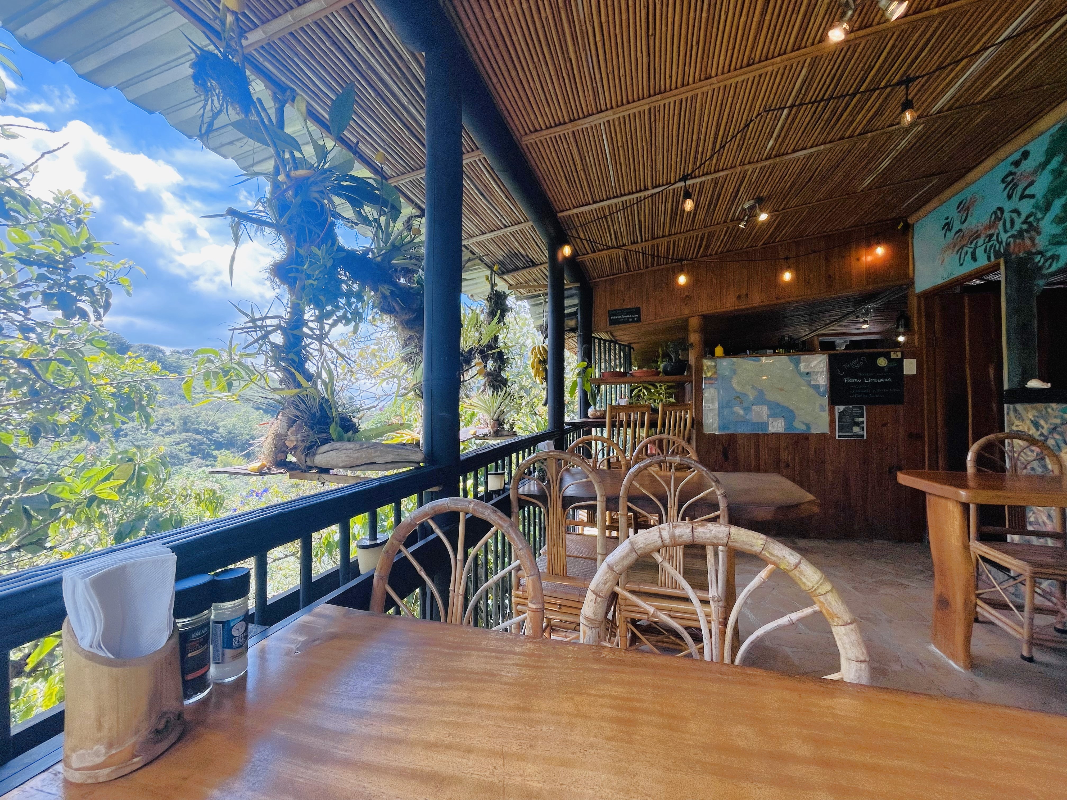 1 bed Commercial For Sale in Perez Zeledon, San Jose - thumb 15