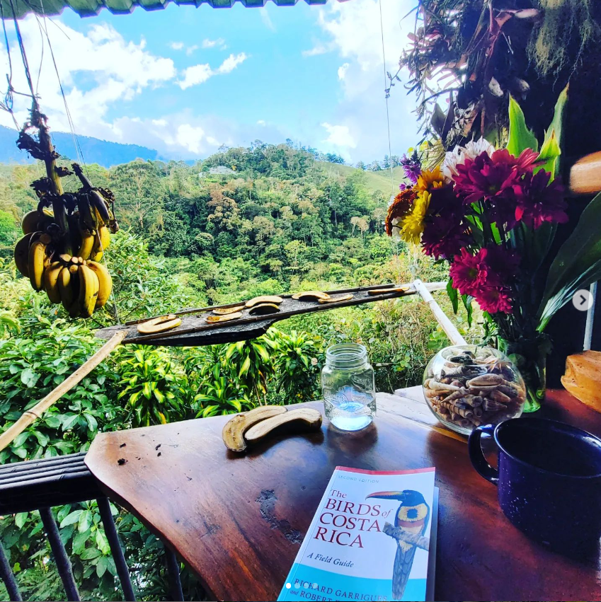 1 bed Commercial For Sale in Perez Zeledon, San Jose - thumb 26