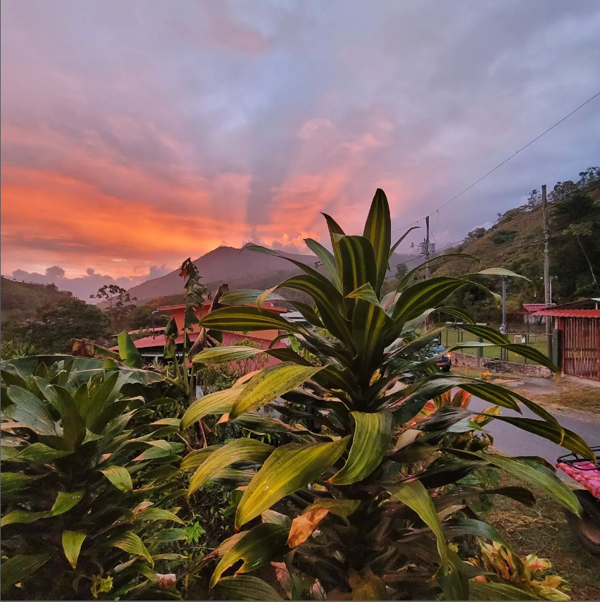 1 bed Commercial For Sale in Perez Zeledon, San Jose - thumb 29