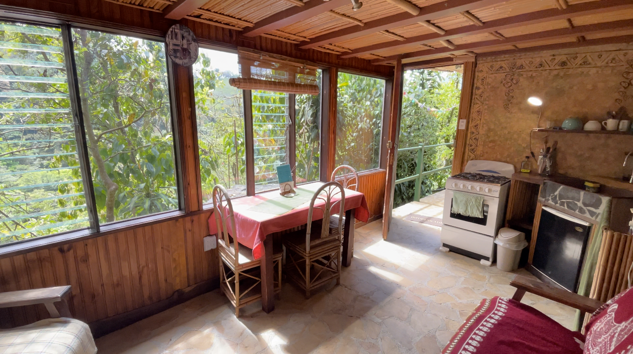 1 bed Commercial For Sale in Perez Zeledon, San Jose - thumb 25