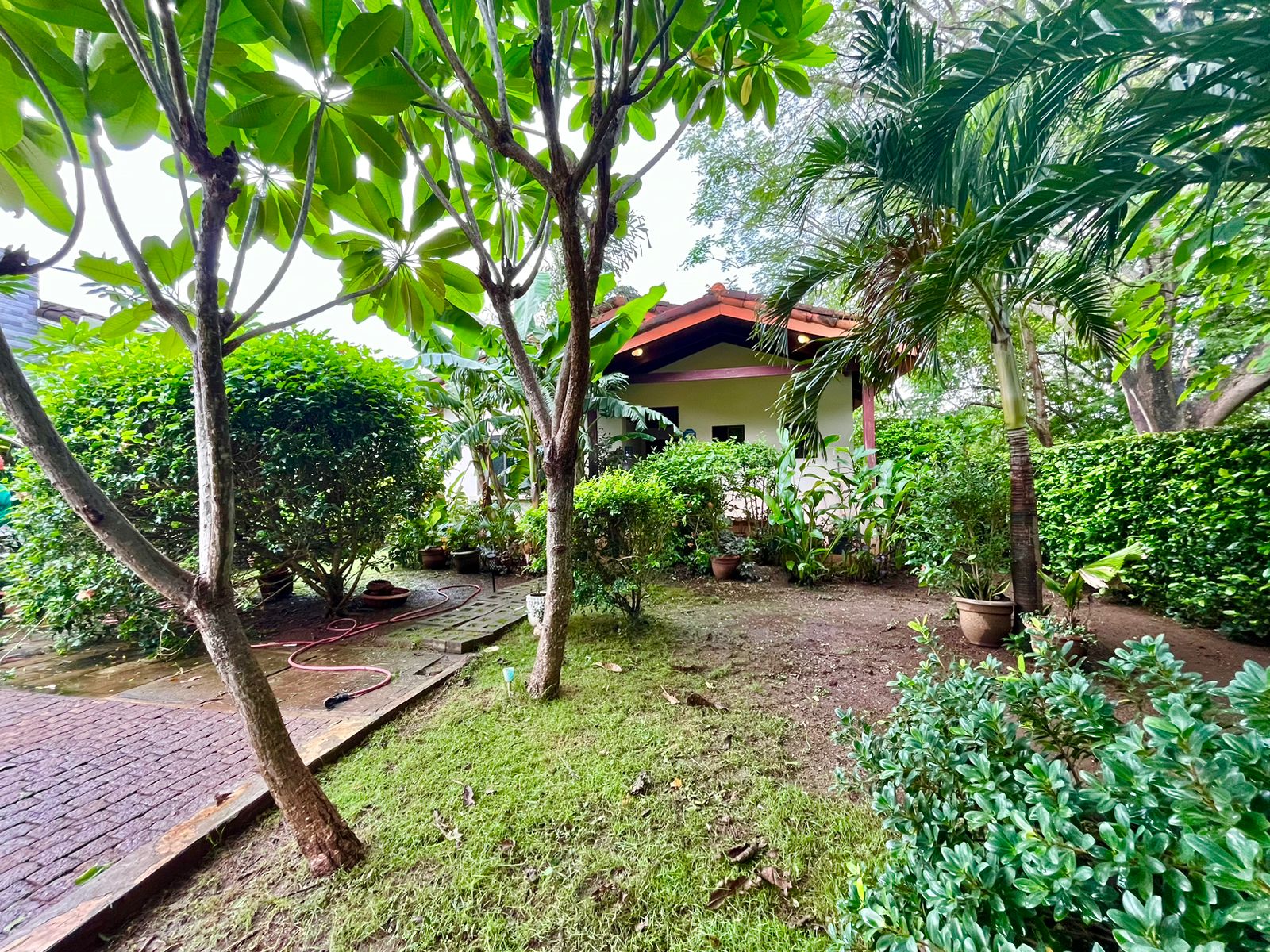 2 bed Single Family Homes For Sale in Tamarindo, Guanacaste - thumb 12