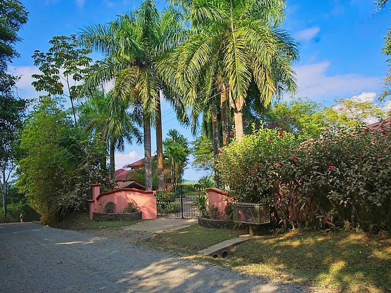 3 bed Single Family Homes For Sale in Dominical, Puntarenas - thumb 10