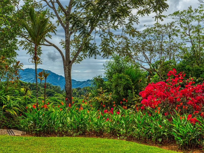 3 bed Single Family Homes For Sale in Dominical, Puntarenas - thumb 9