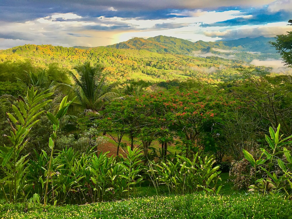 3 bed Single Family Homes For Sale in Dominical, Puntarenas - thumb 28