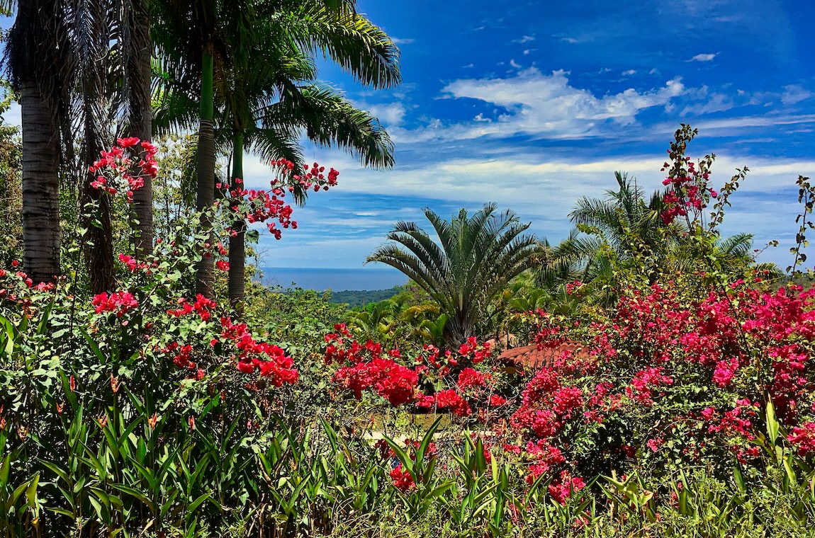 3 bed Single Family Homes For Sale in Dominical, Puntarenas - thumb 27