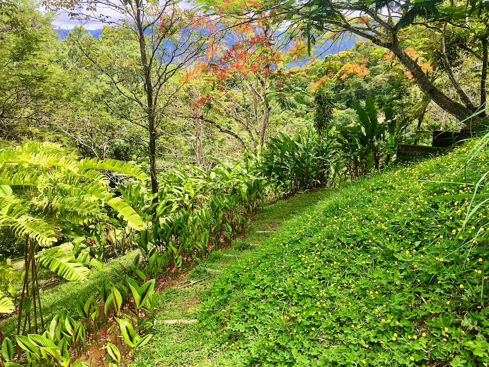 3 bed Single Family Homes For Sale in Dominical, Puntarenas - thumb 29